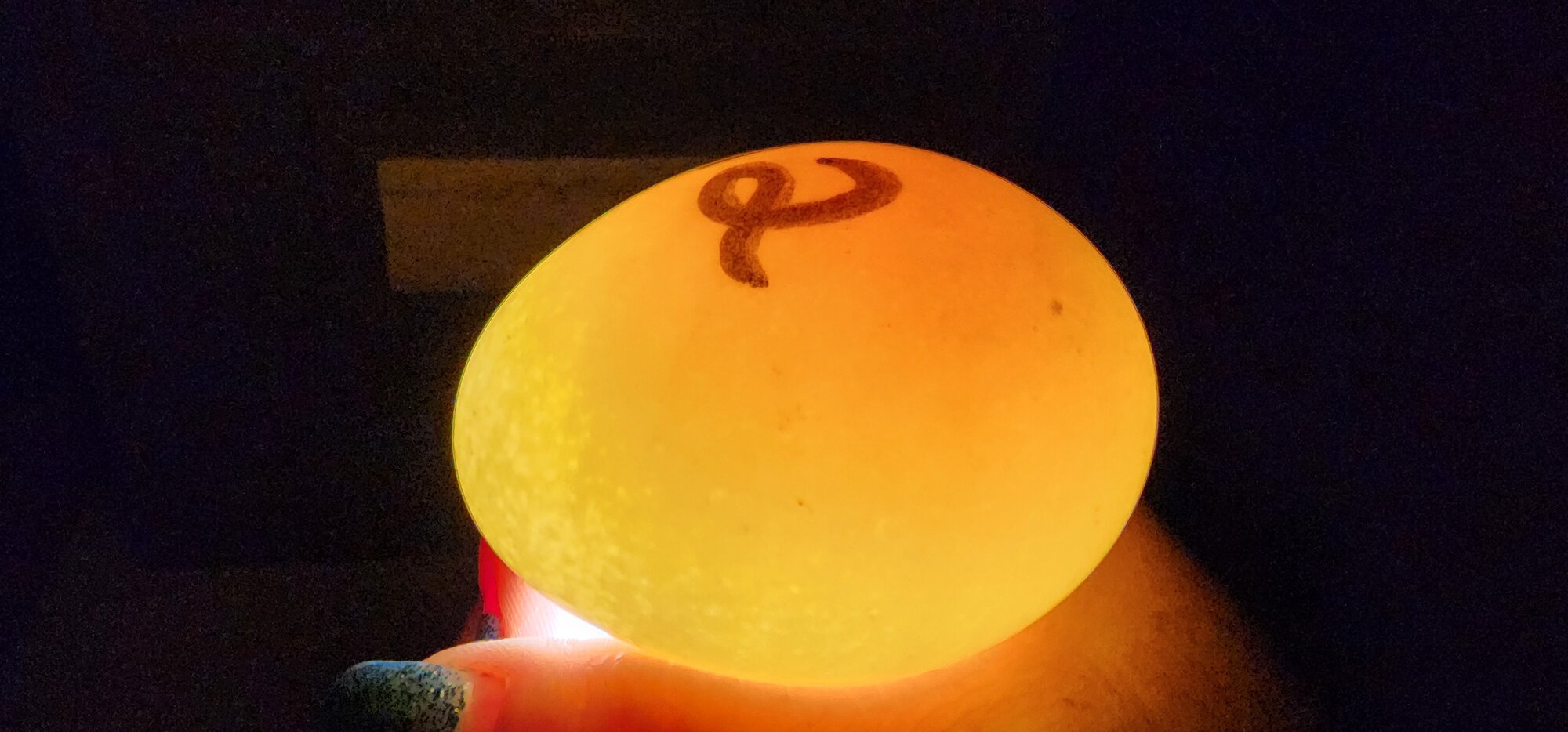 Egg #12 (Side)