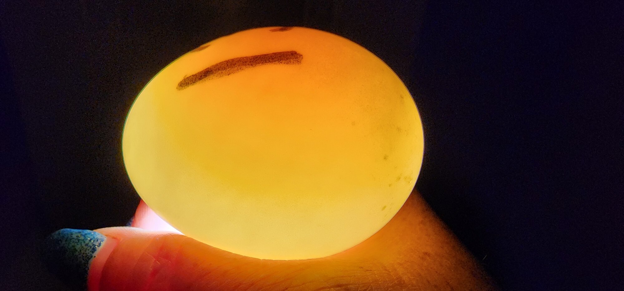 Egg #13 (Side)
