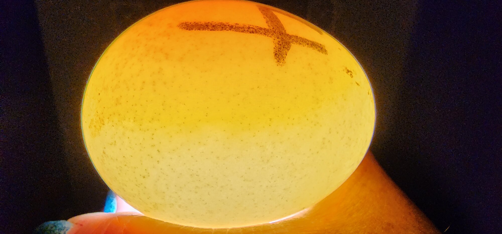 Egg #14 (Side)