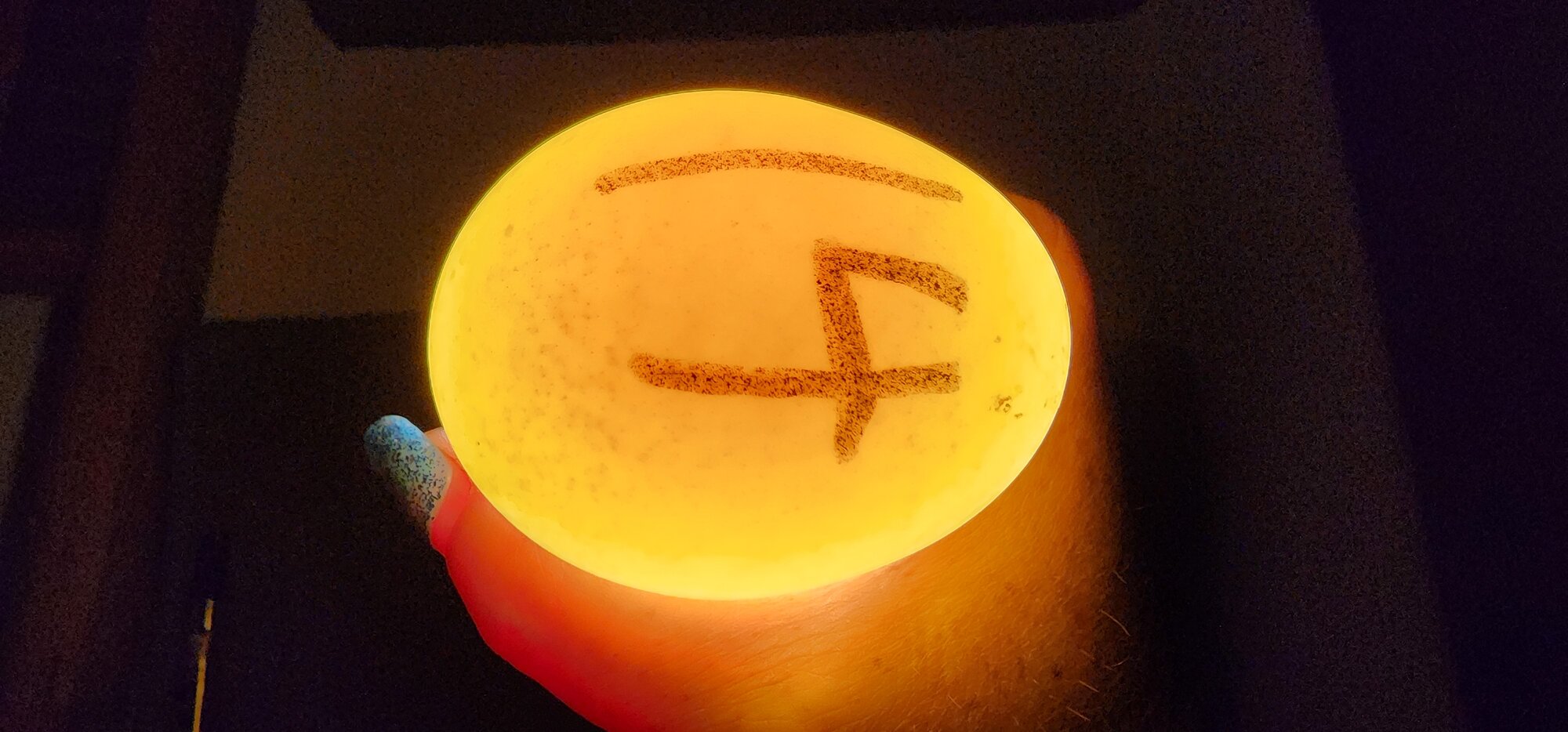 Egg #14