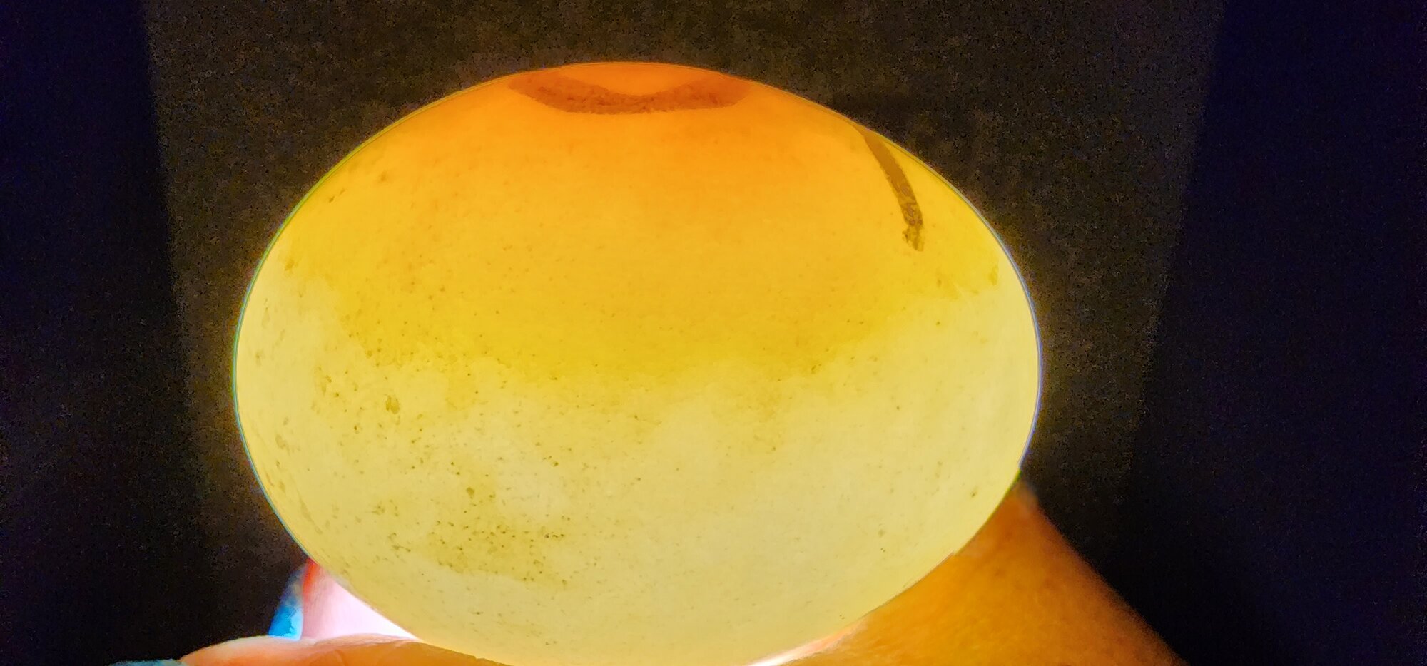 Egg #15 (Side)
