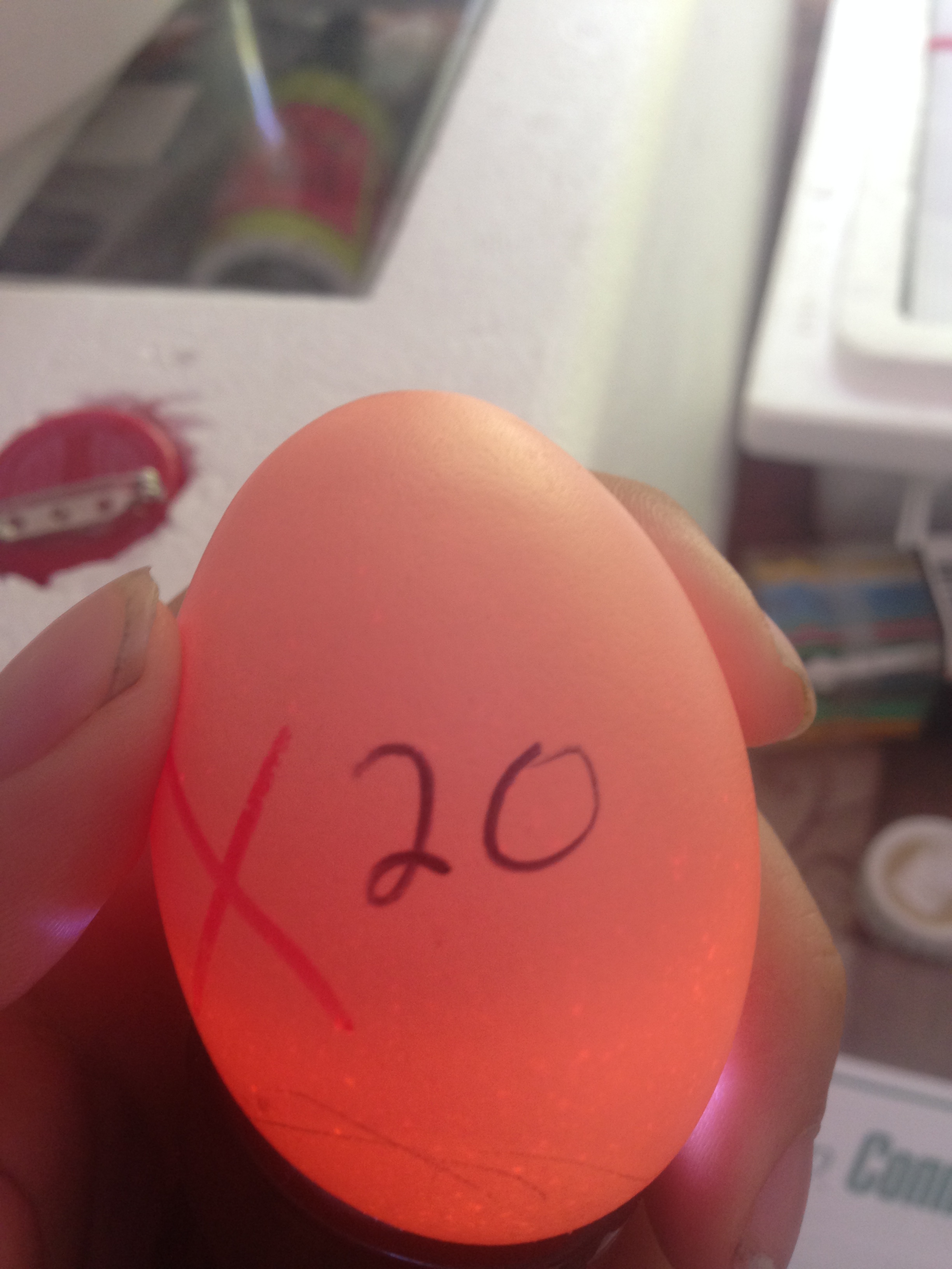 Egg 20 on day ~15