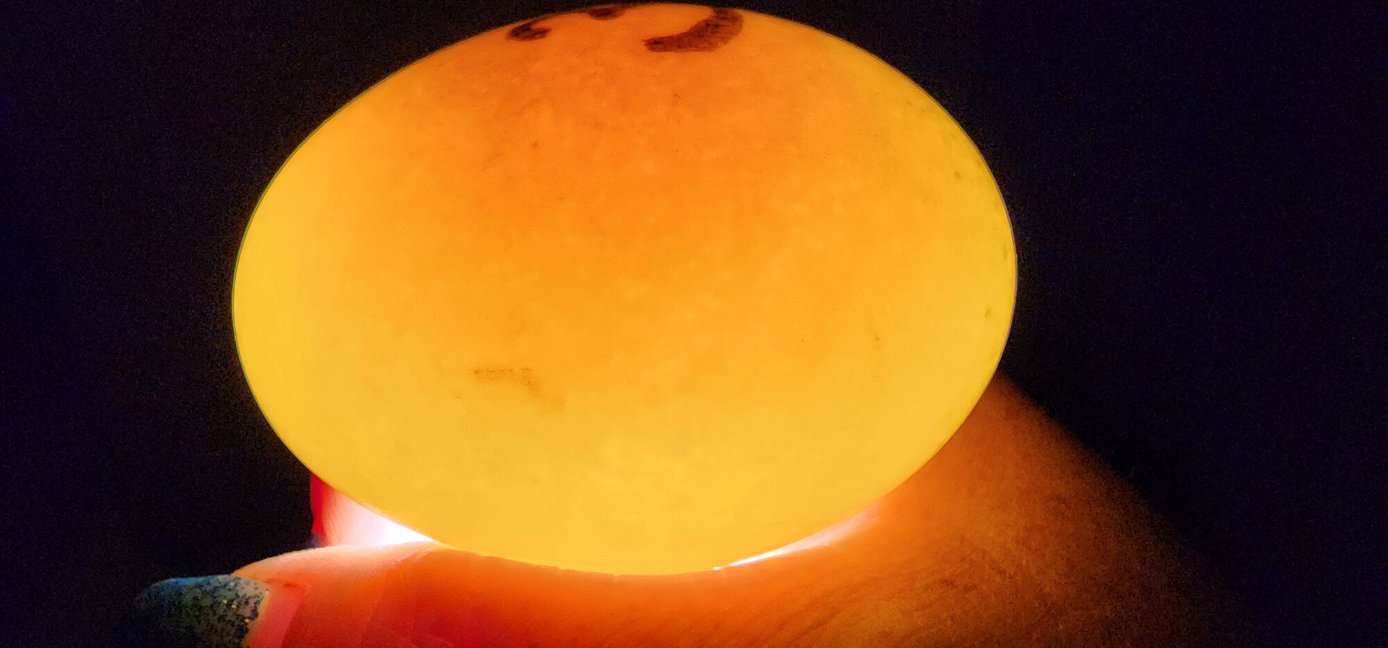 Egg #3 (Side)