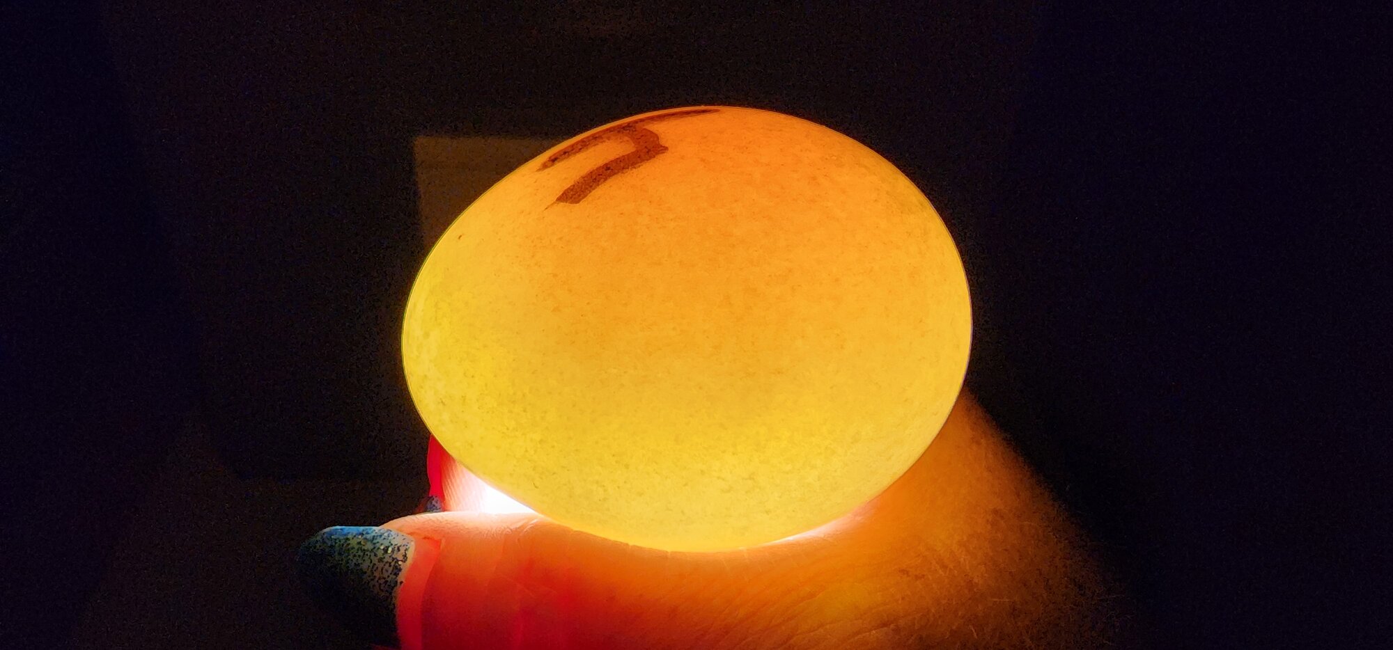 Egg #4 (Side)