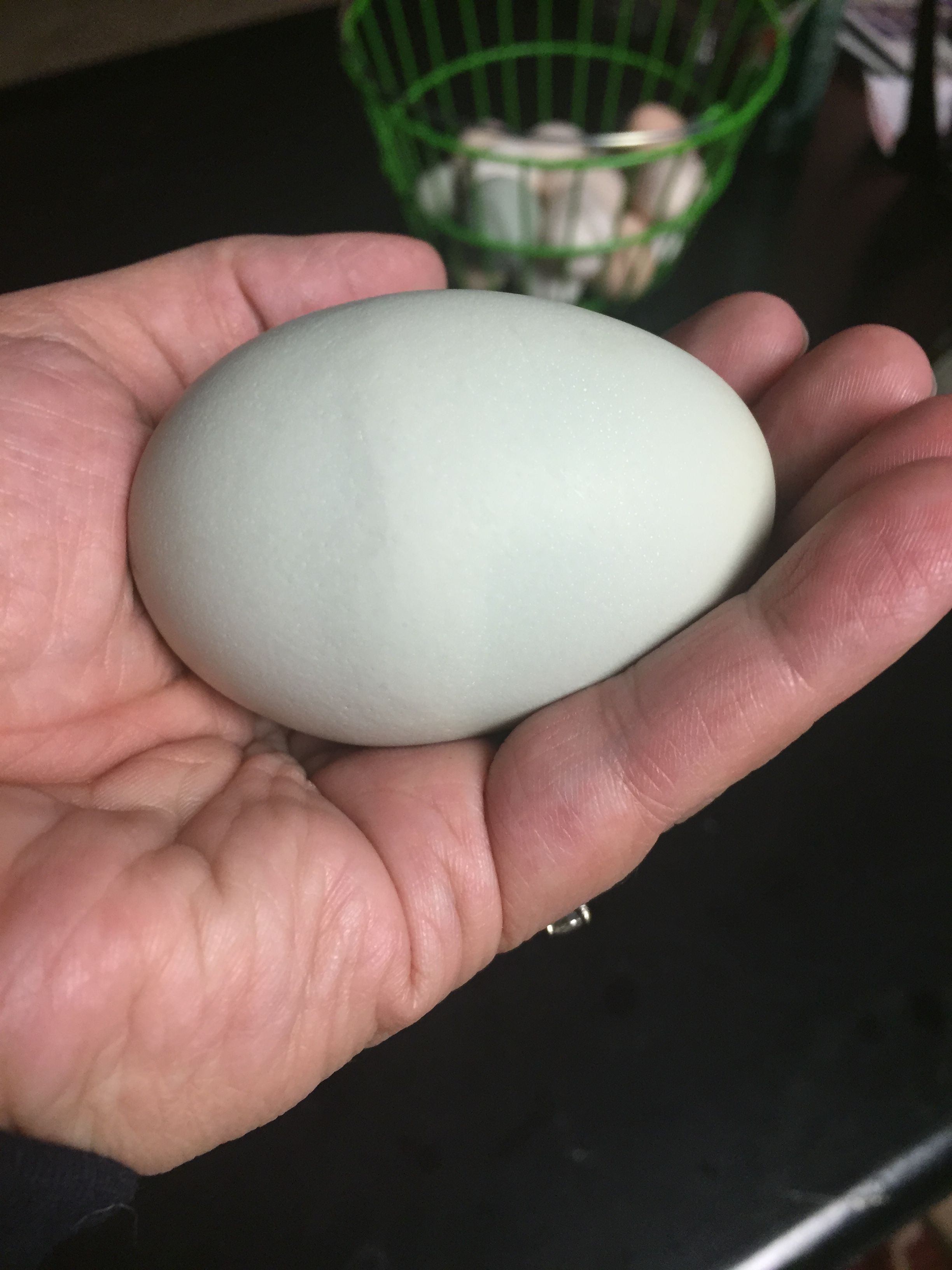 Egg #5 from Luna my Ameraucana