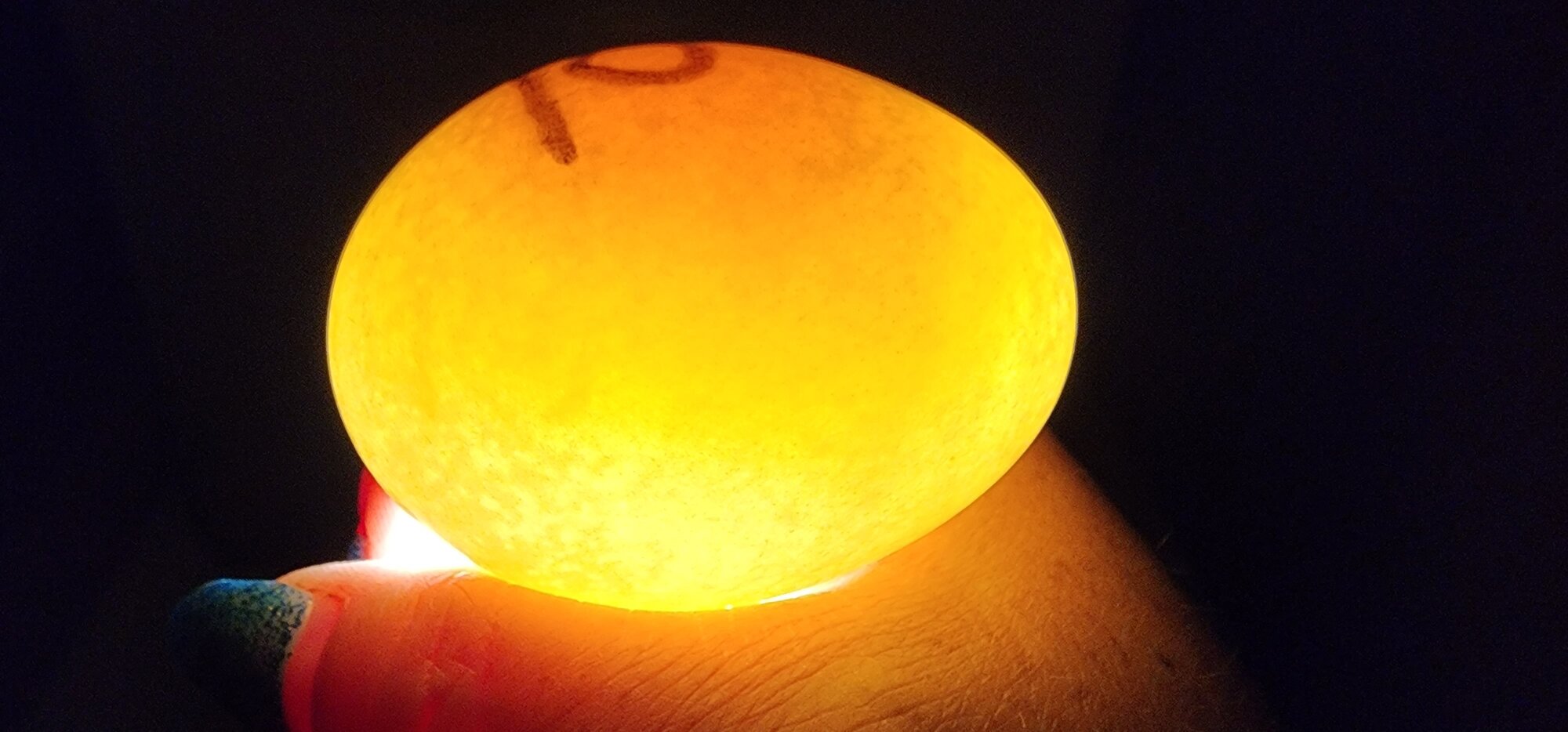 Egg #6 (Side)