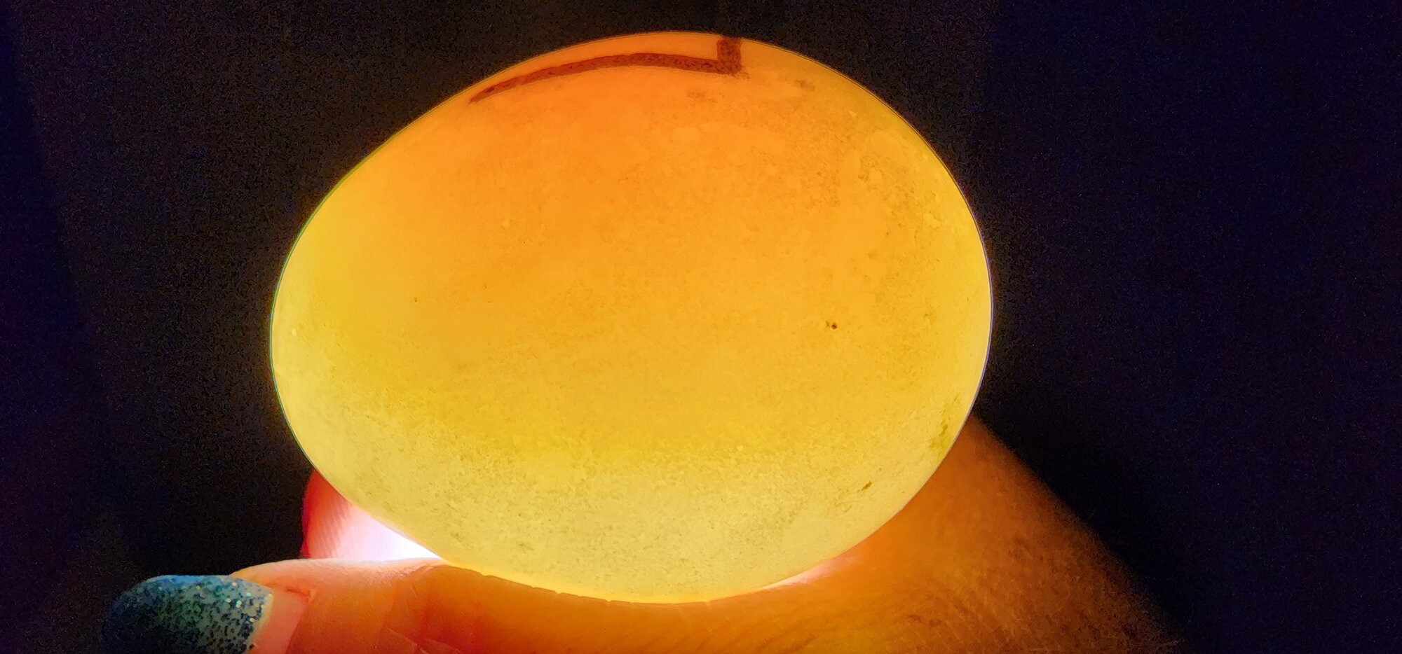Egg #7 (Side)