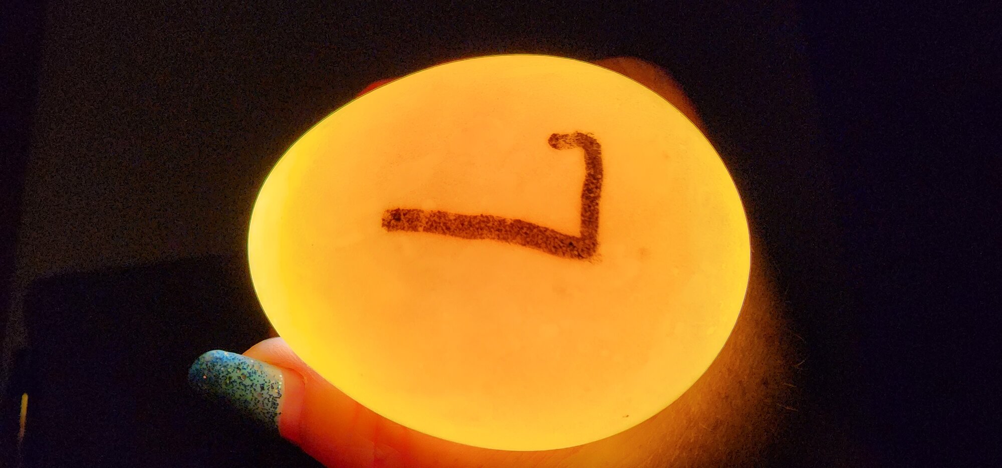 Egg #7