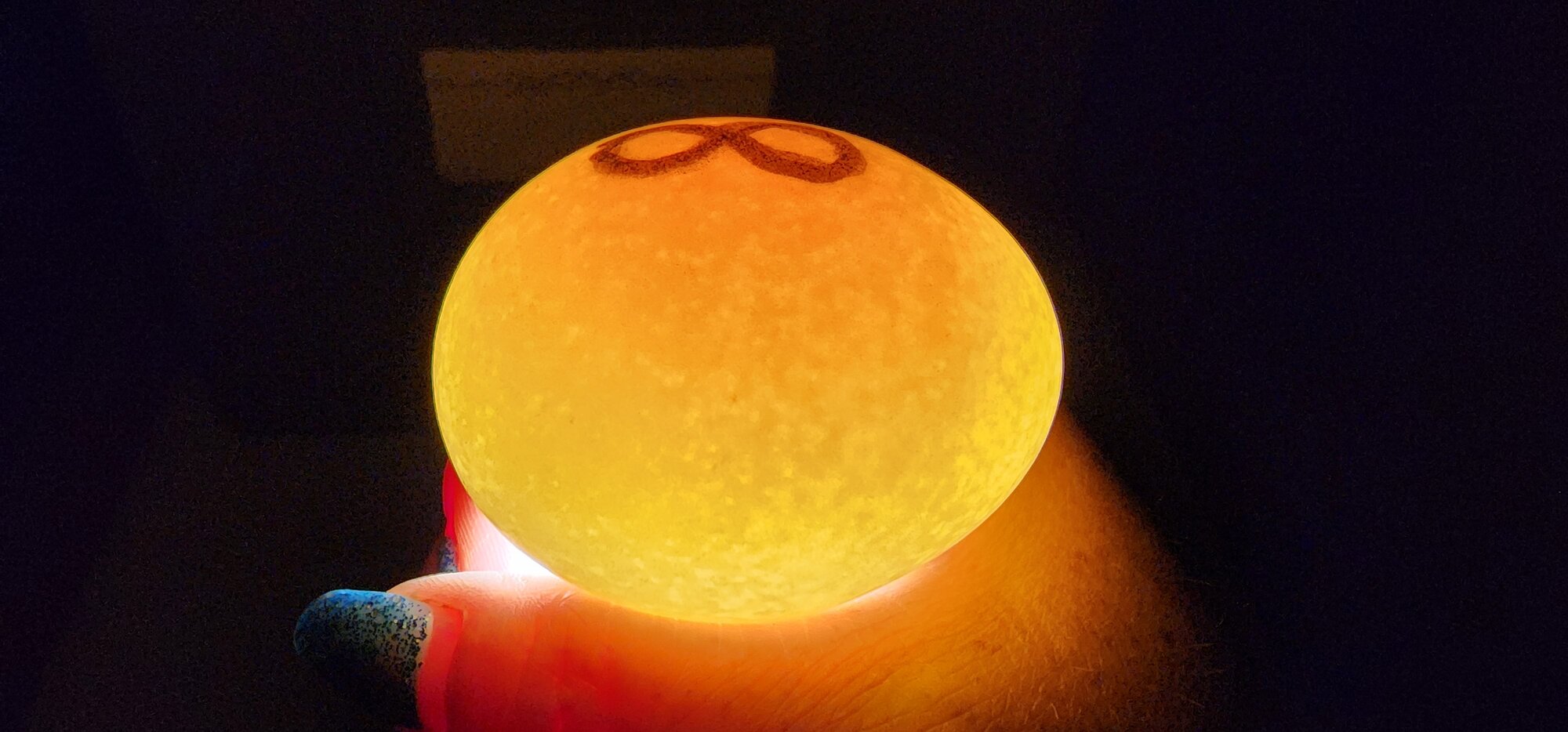 Egg #8 (Side)