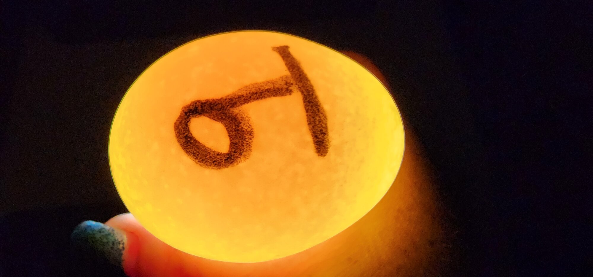 Egg #9