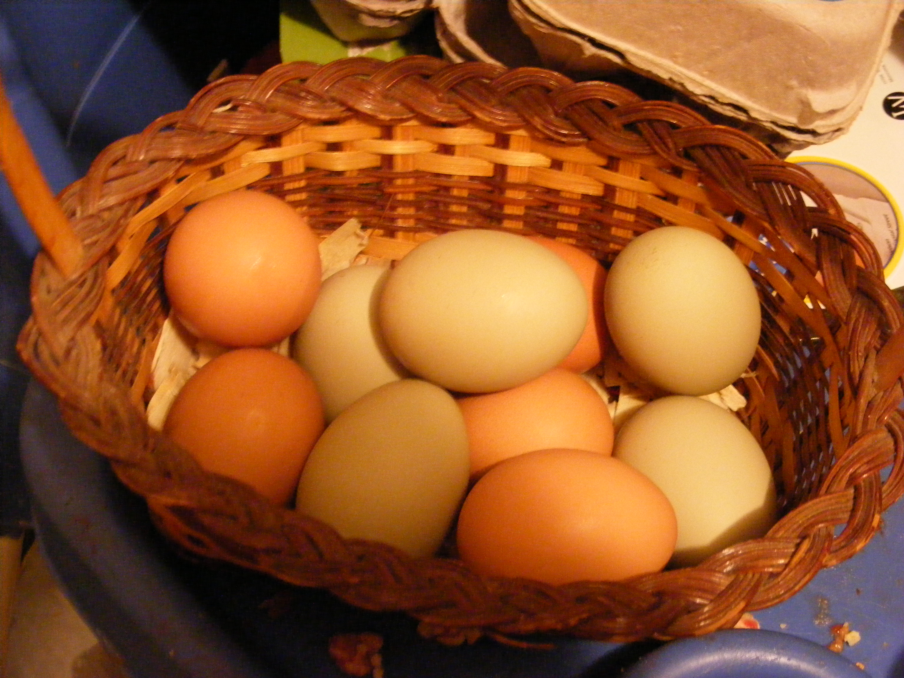 Egg basket