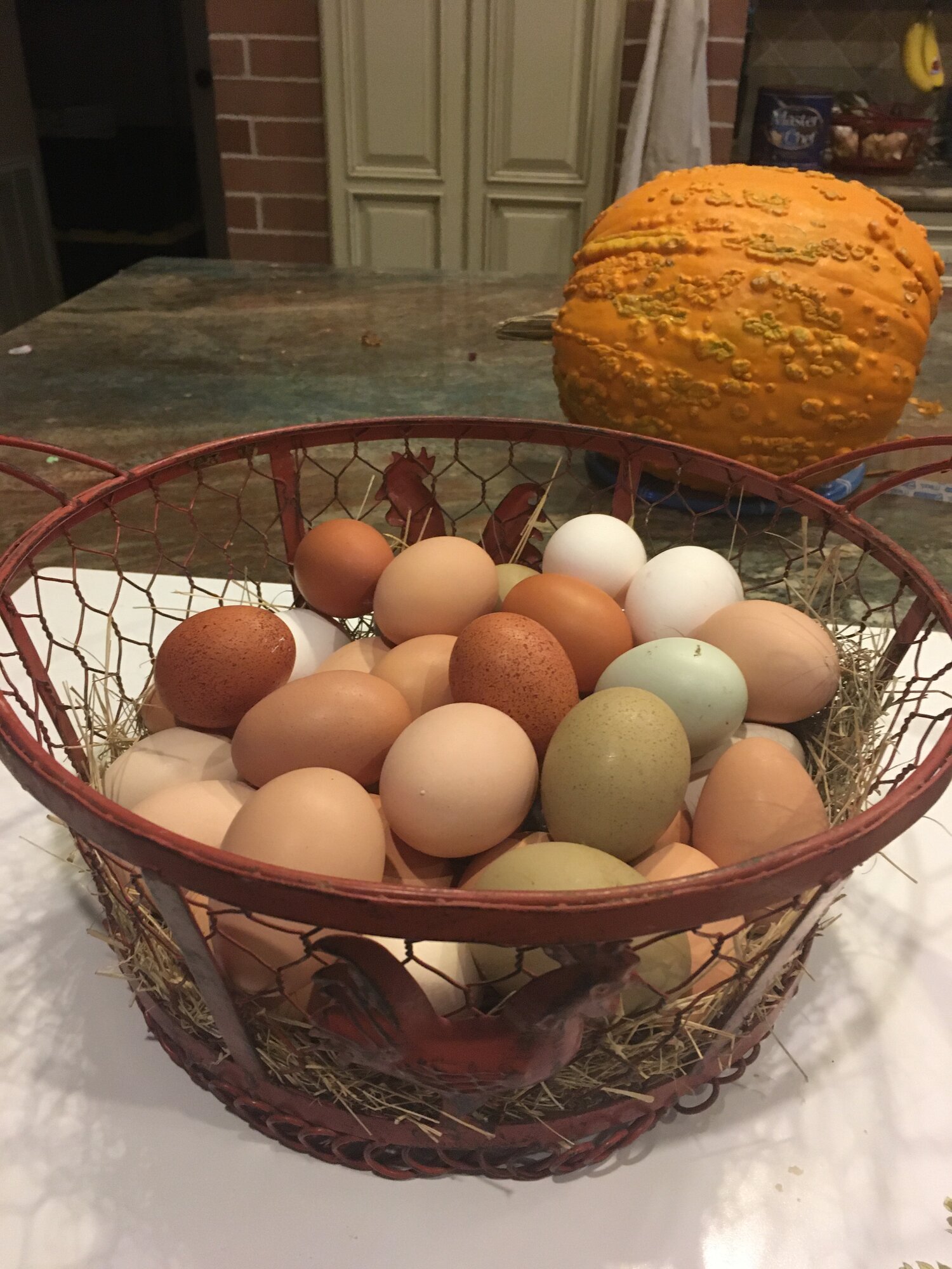Egg basket