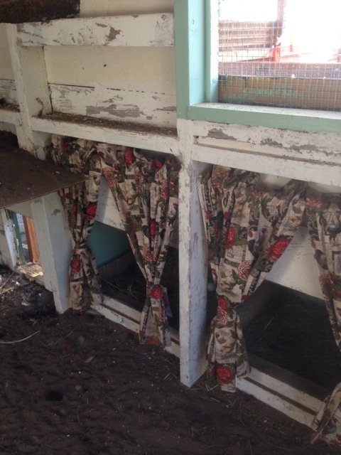 Egg Box Drapes