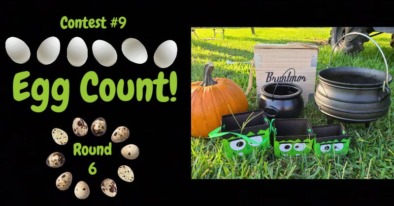 Egg Count c9 r6.jpg
