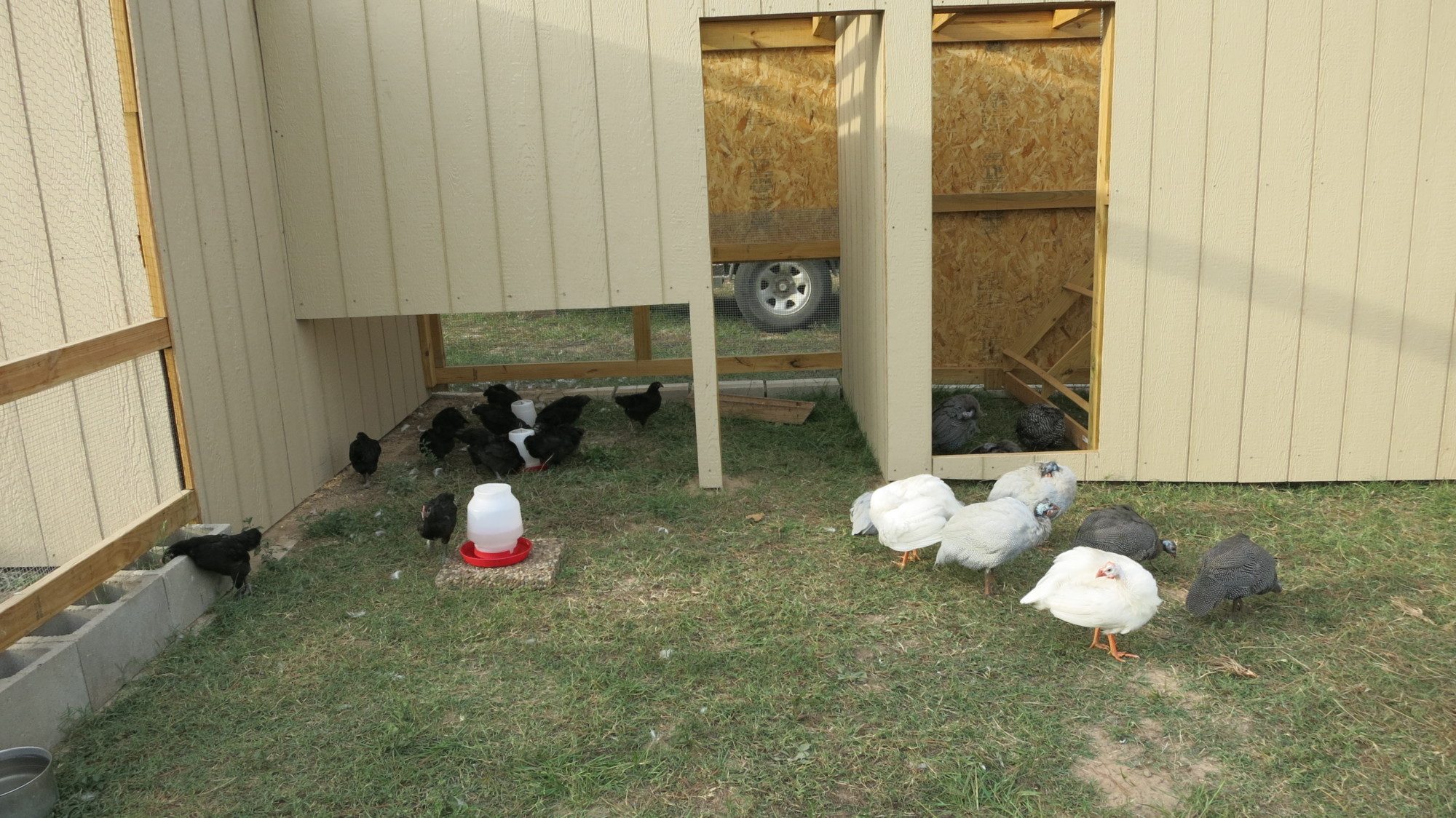 Egg Crib on left - Roost on right: