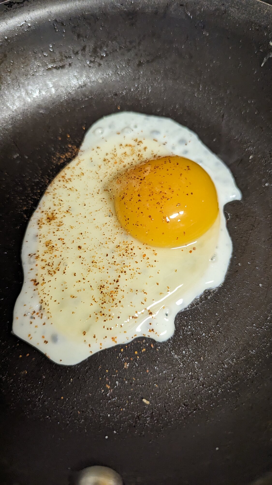 Egg Dish 51.jpg