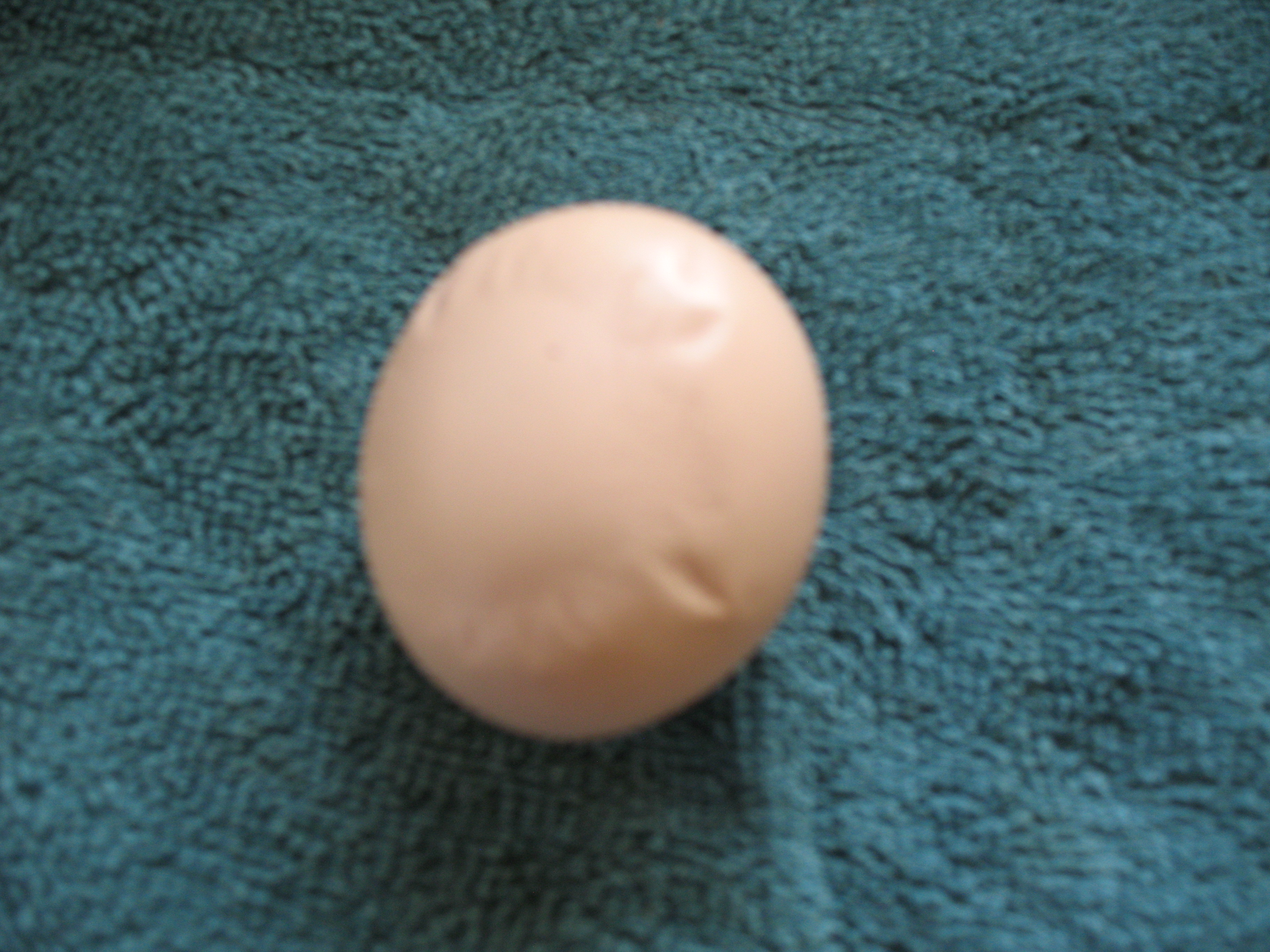 Egg laid by Righty on 4-9-15