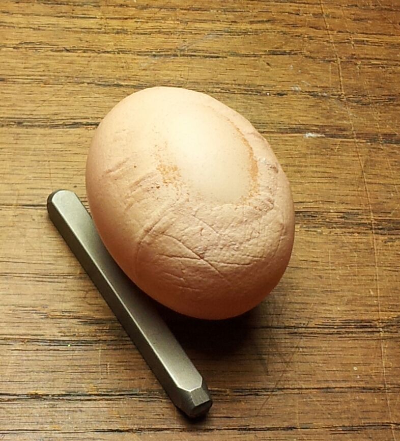 Egg Problem.  This egg's surface feels scratchy like it has calcification but also has a smooth raised area that is very thin surrounded by an uneven crinkly surface.  First of this sort I've found.  Any ideas?