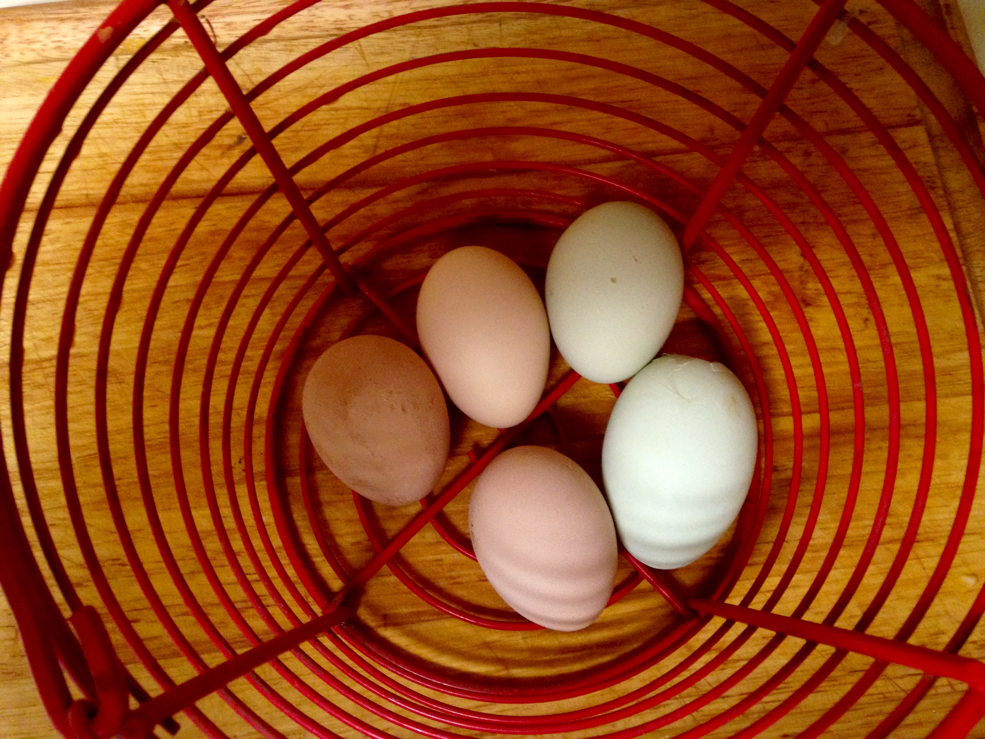 Egg production is picking up again