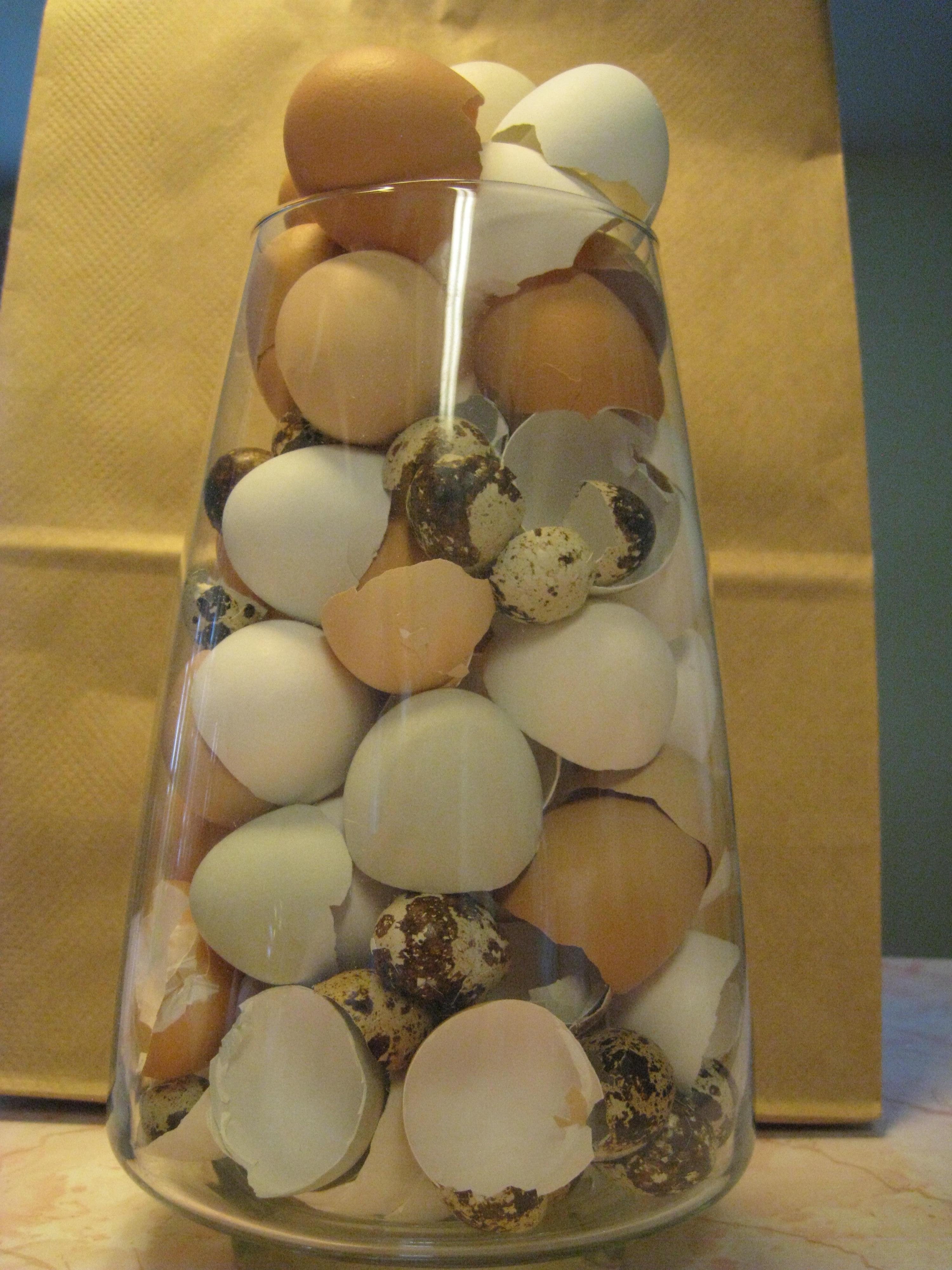 Egg shells