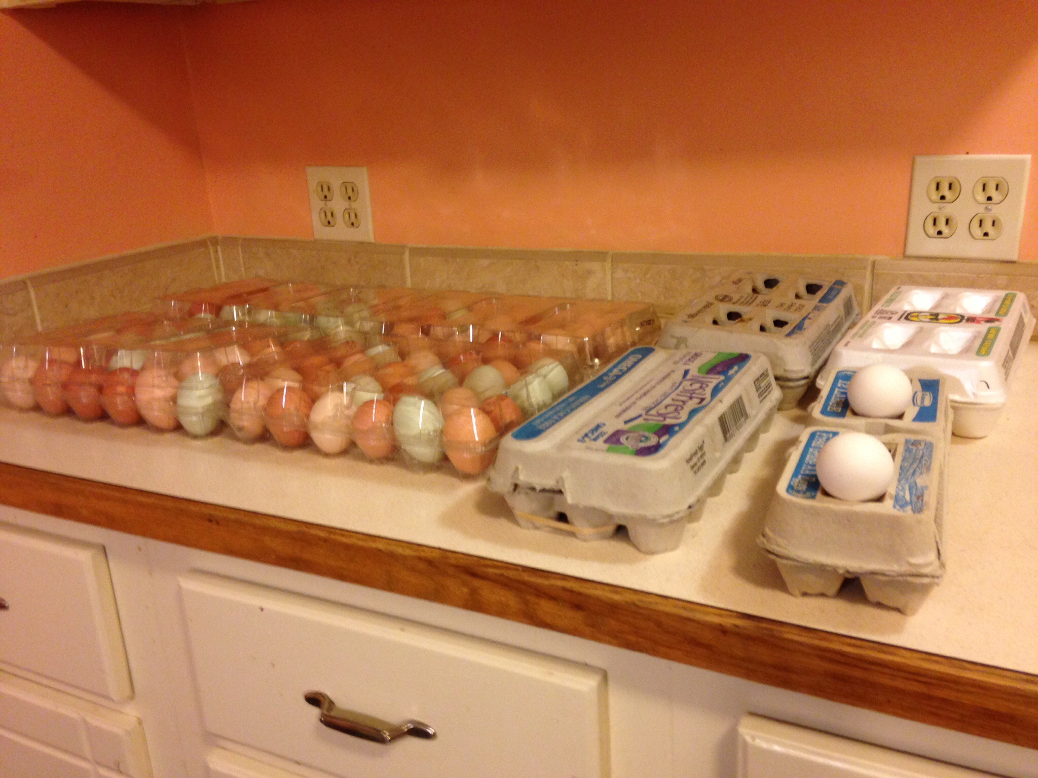 Egg sorting for hatching