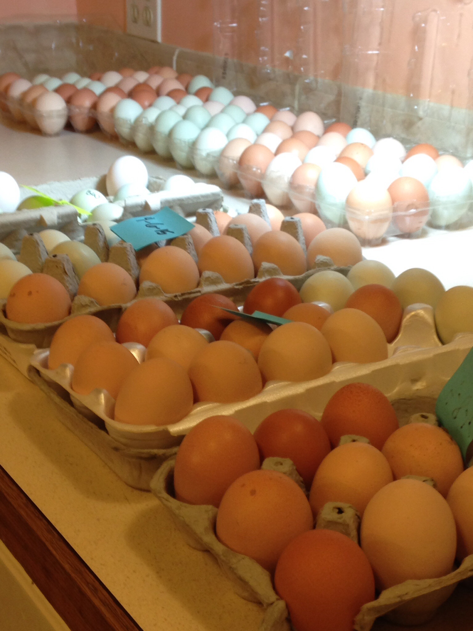 Egg sorting for hatching