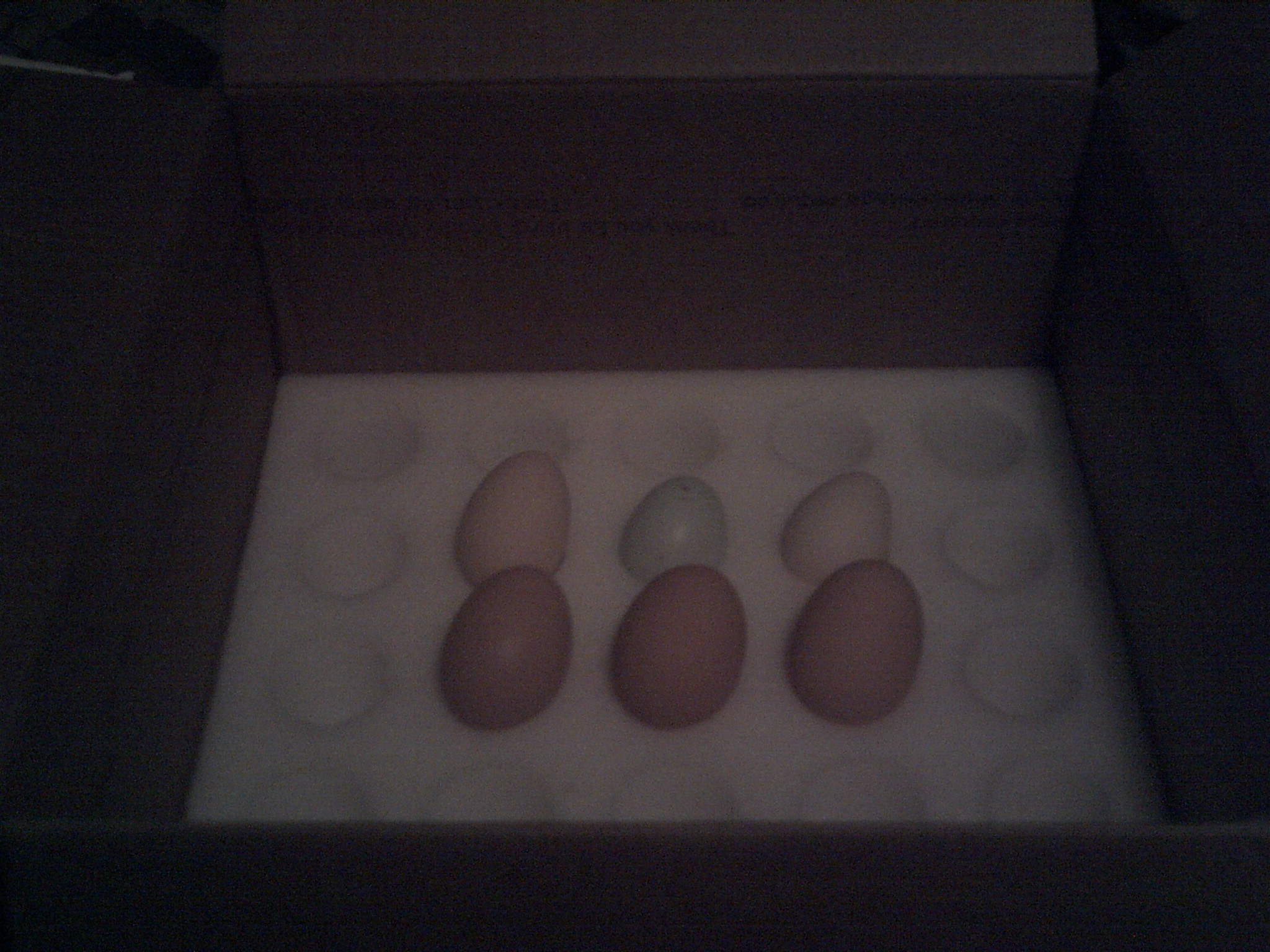 egg thanks to packaging are still OK!!