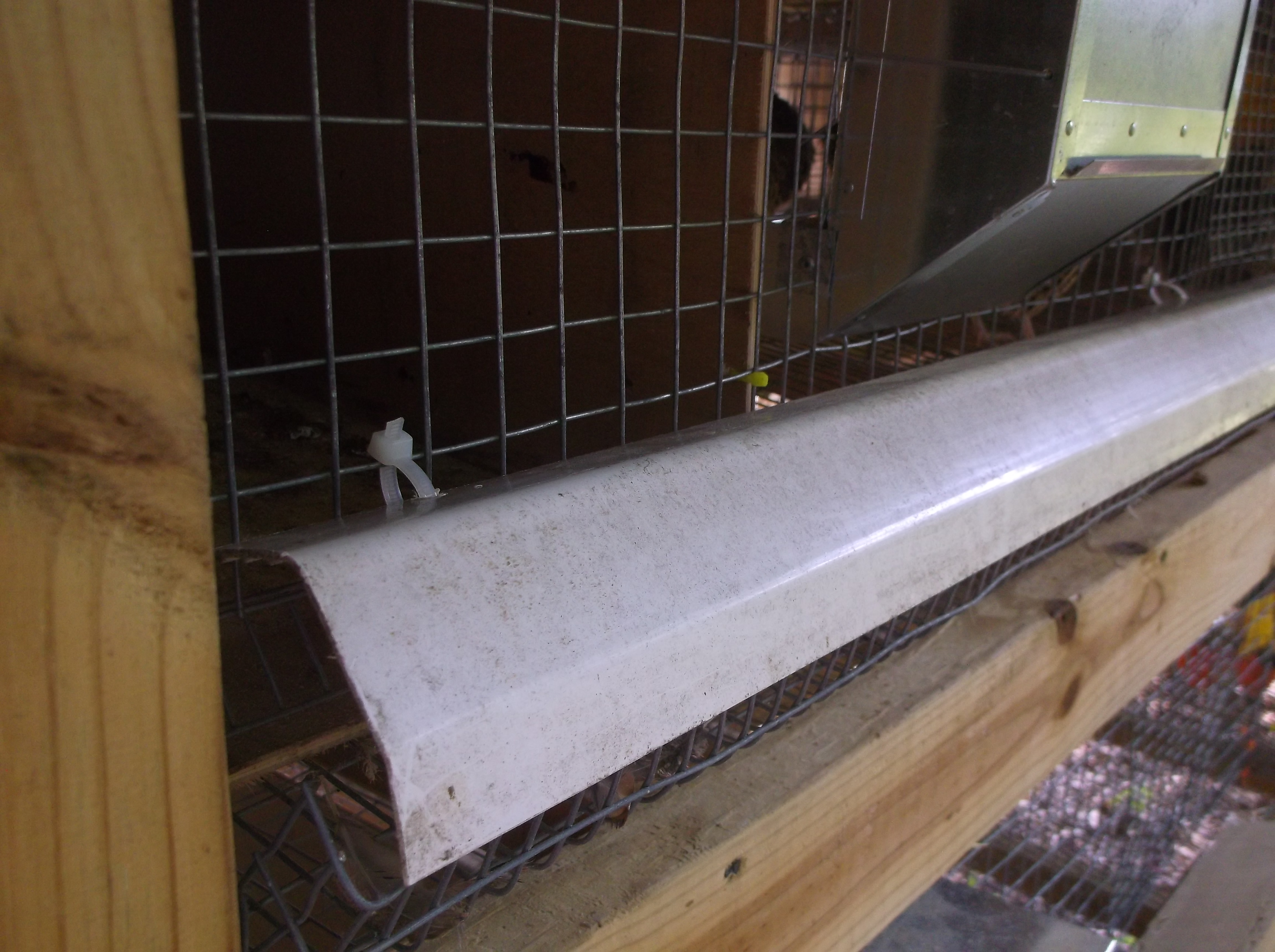 Egg tray cover