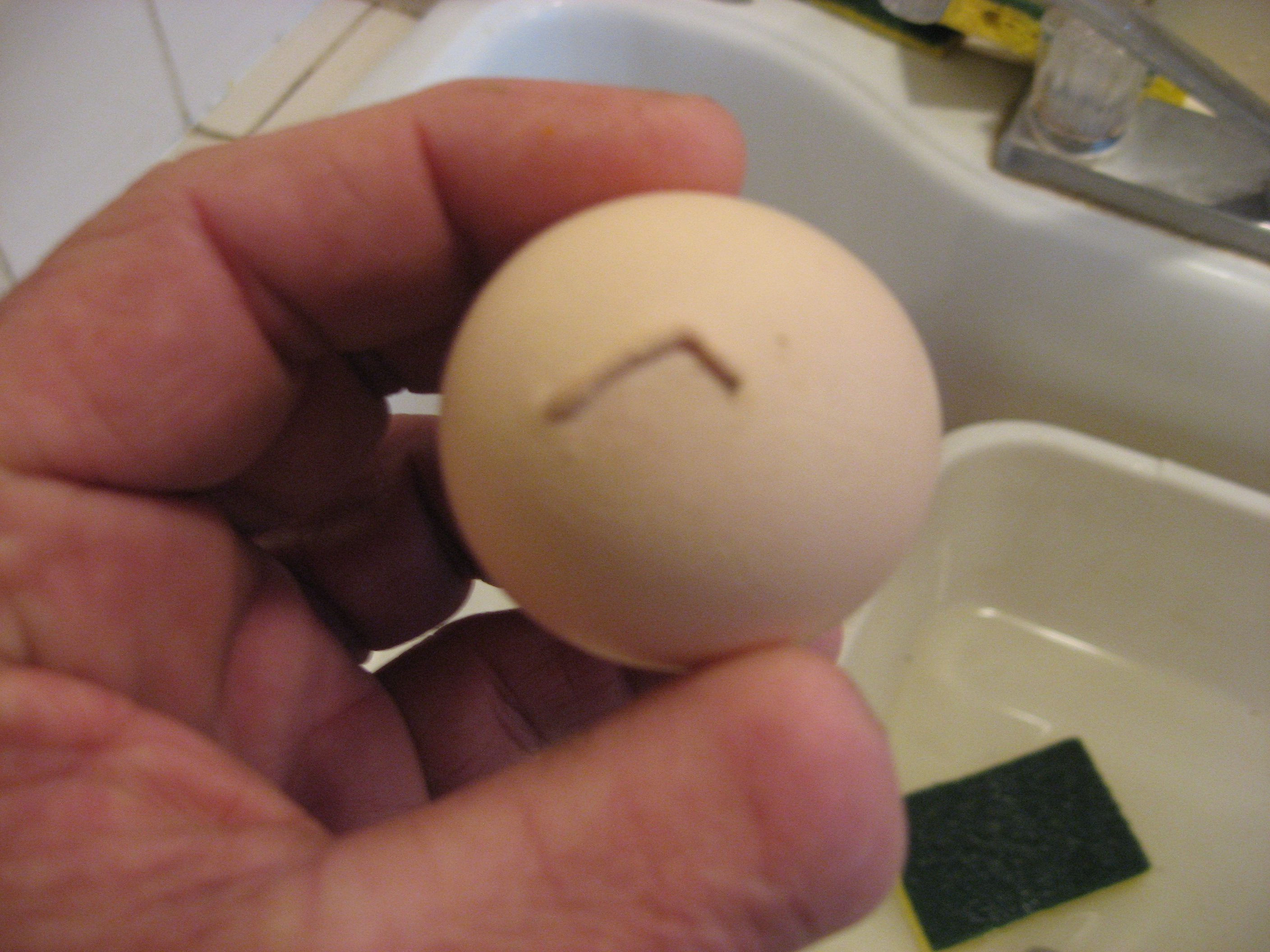 egg with a tail