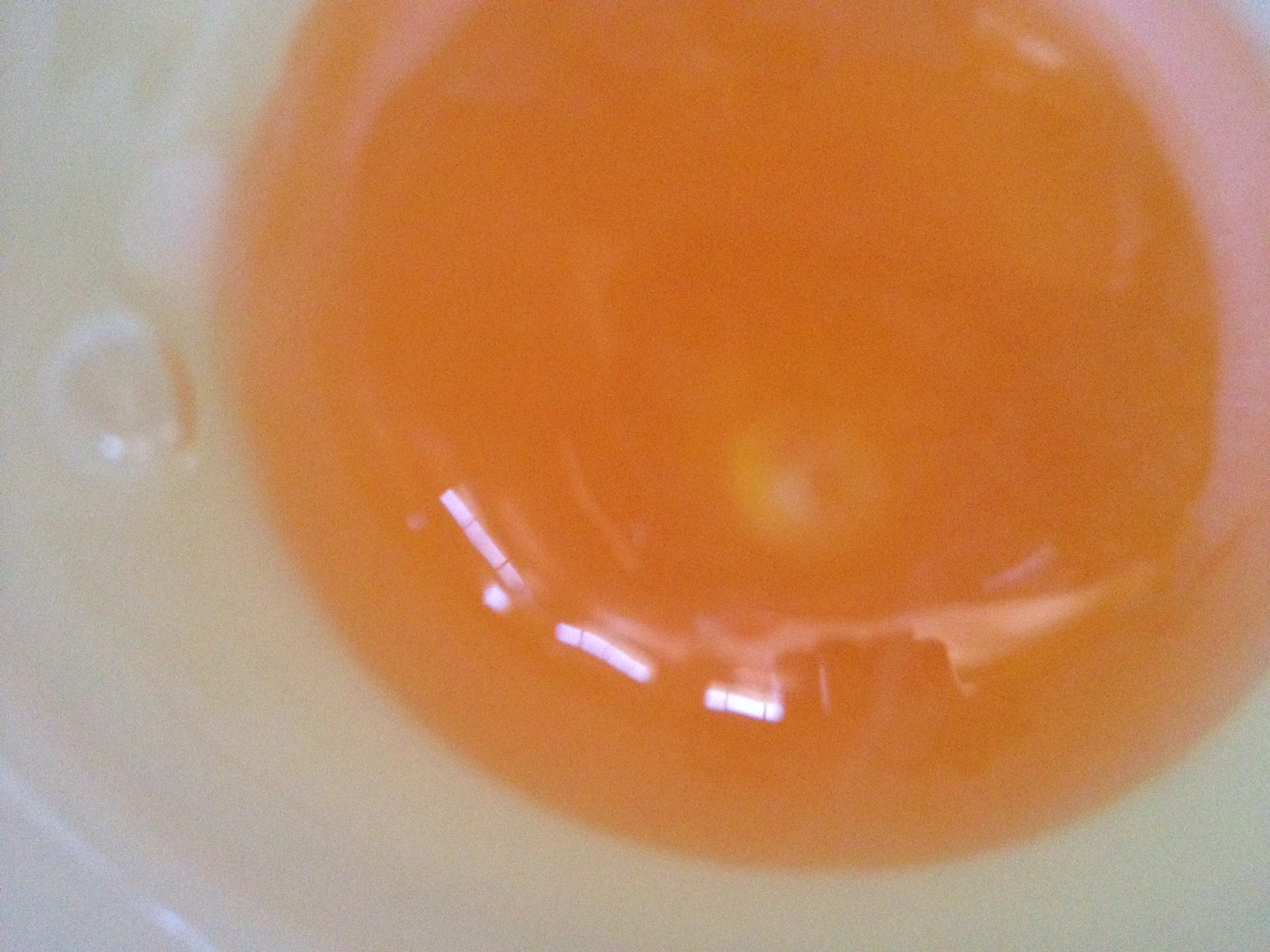 egg