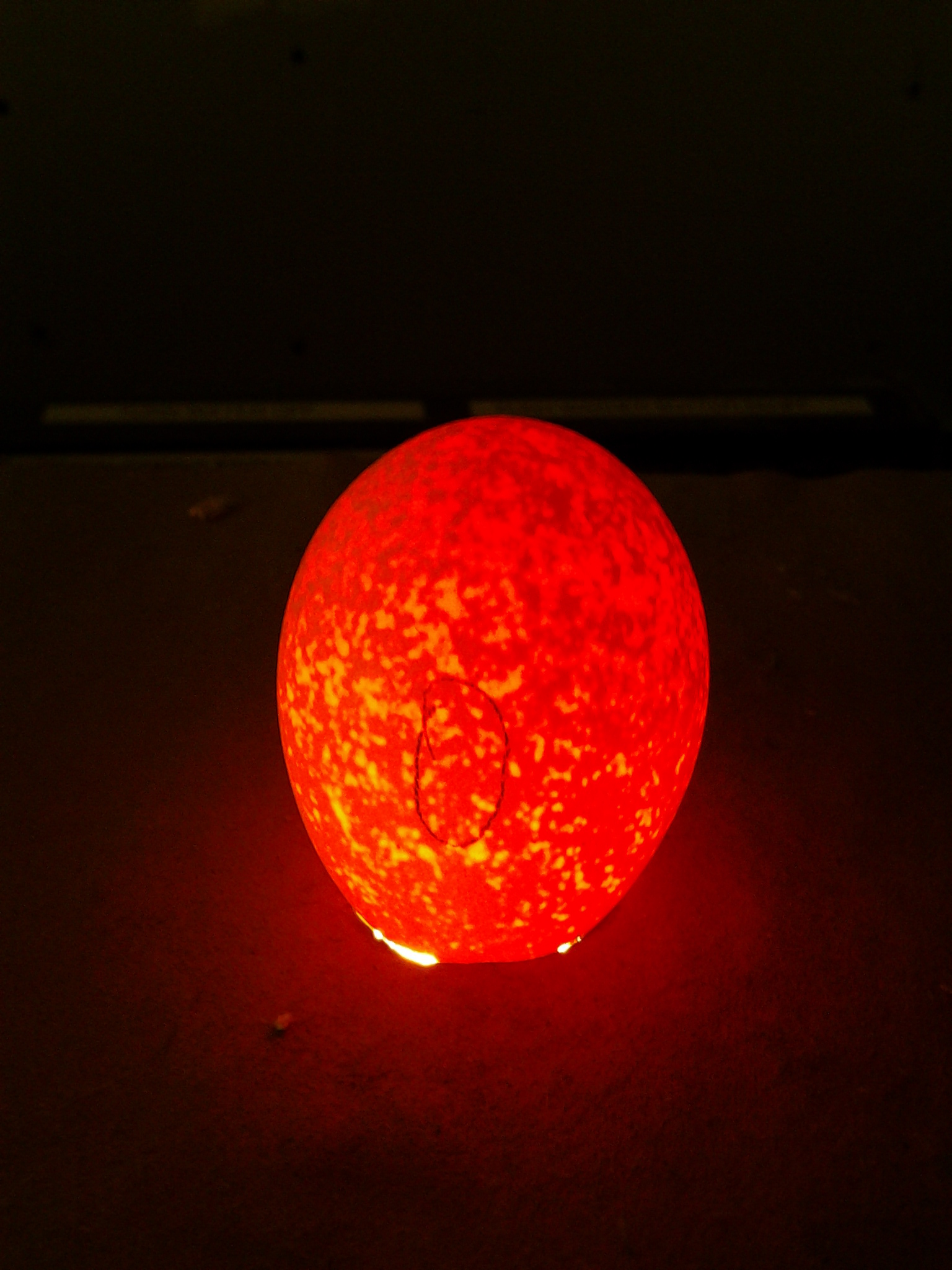 egg