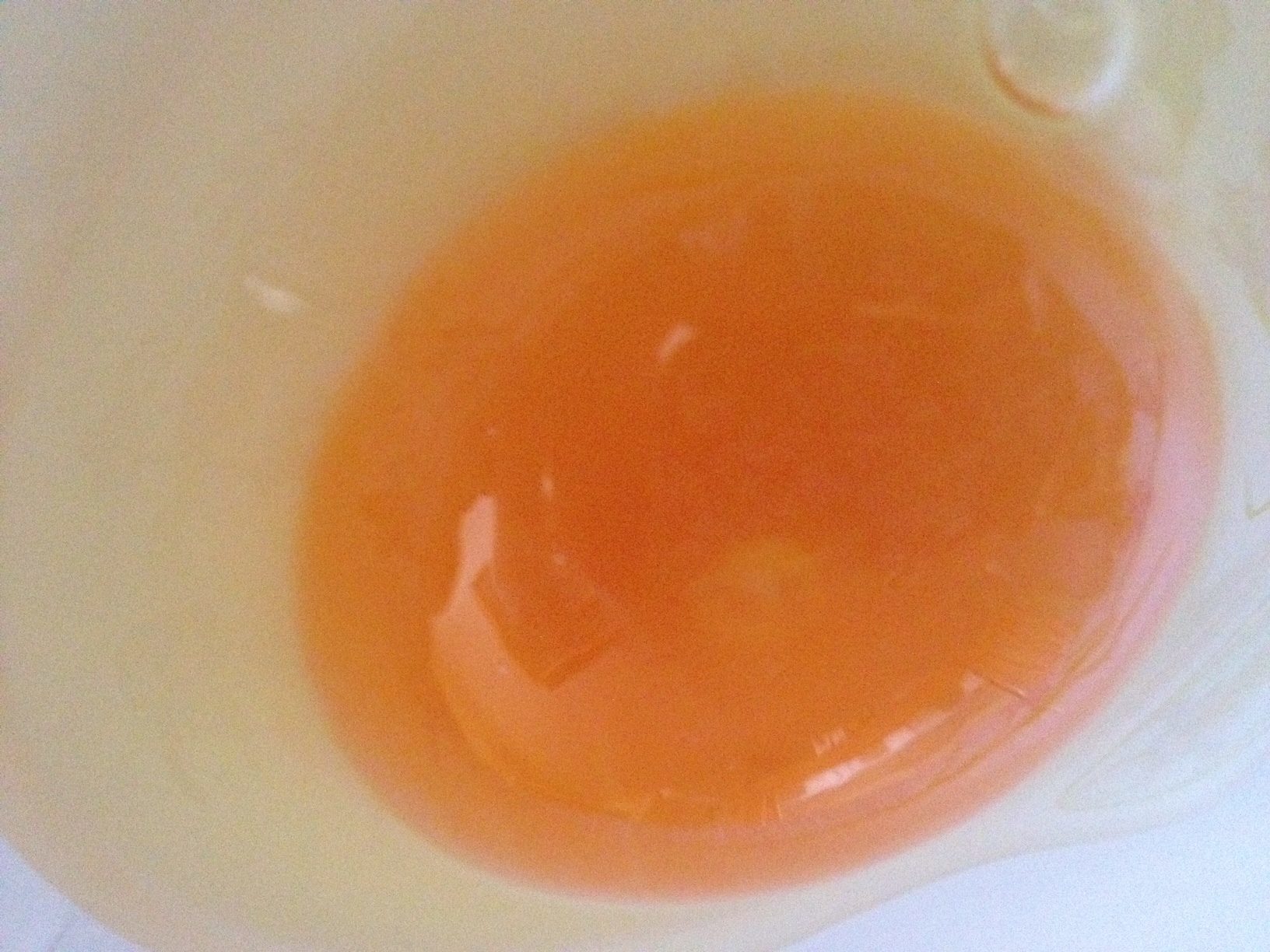 egg1