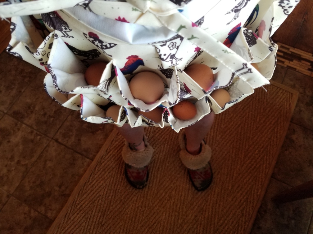 EggApron