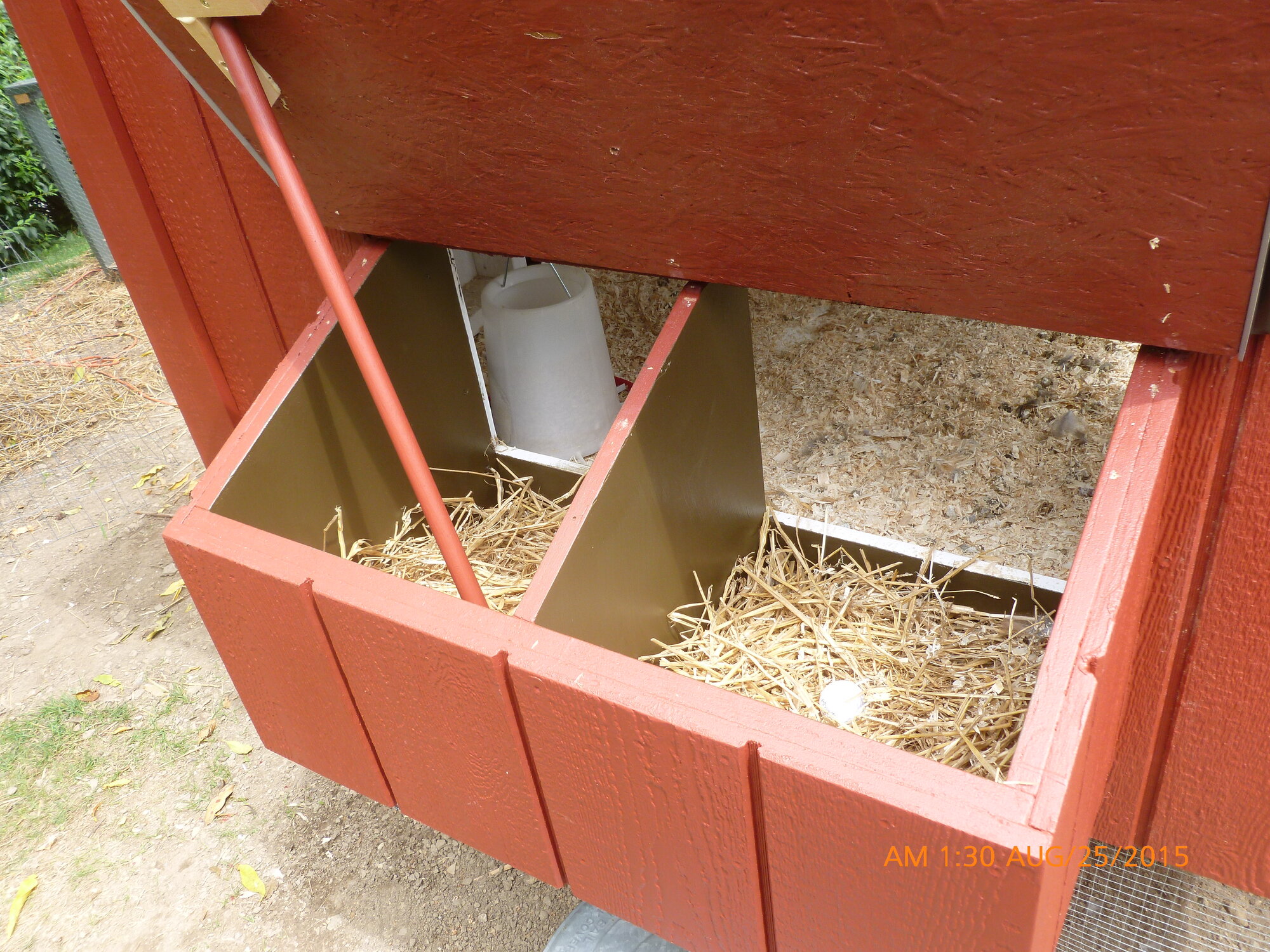 Eggbox3