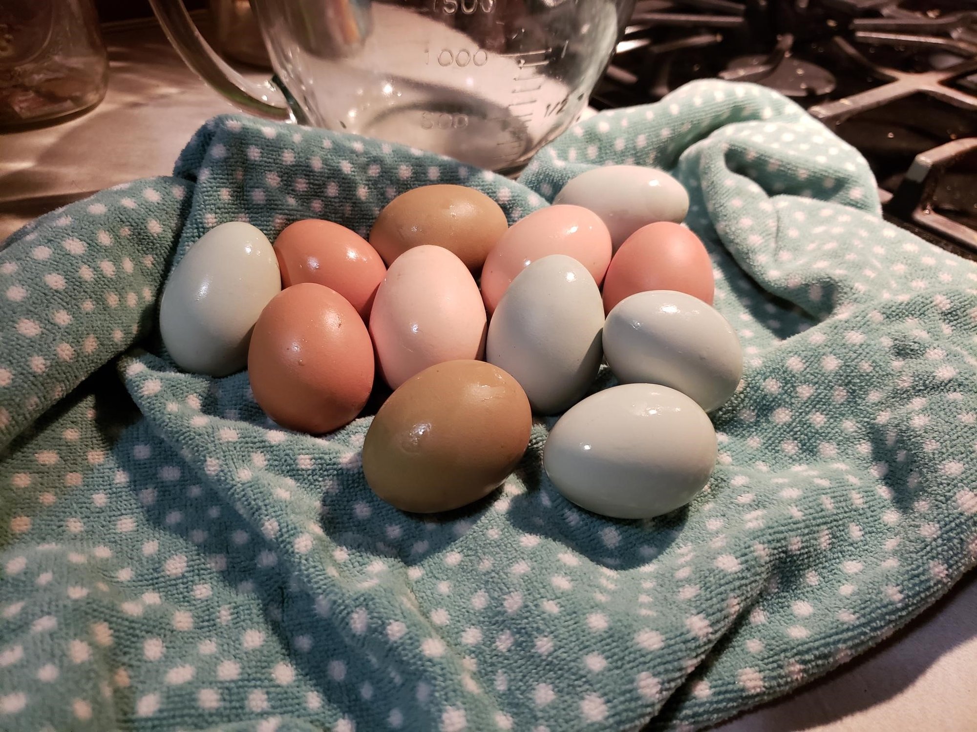 Egggsss