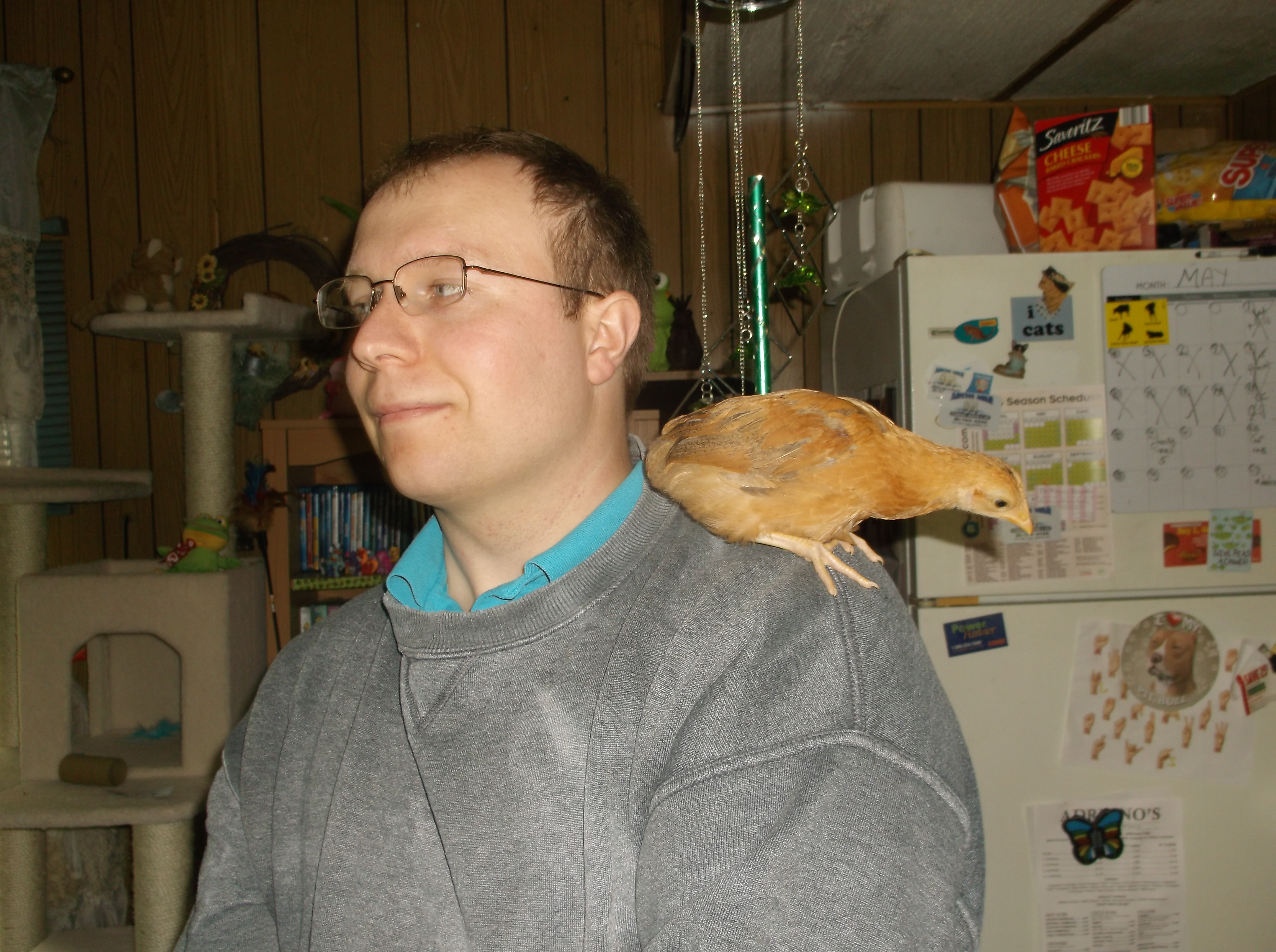 eggitha enjoying freds shoulder ( she MAY have a parrot complex)