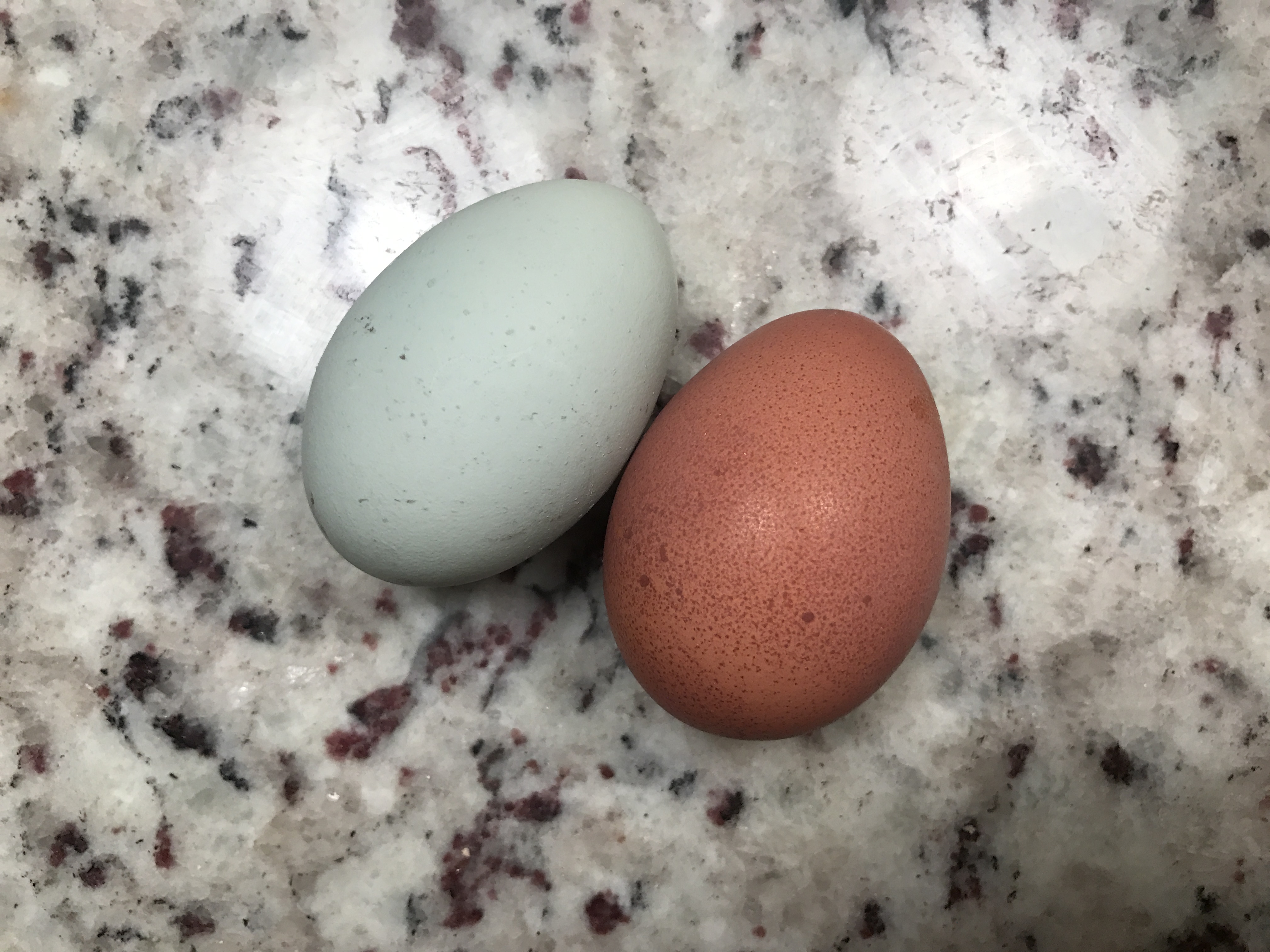 Eggs ❤️