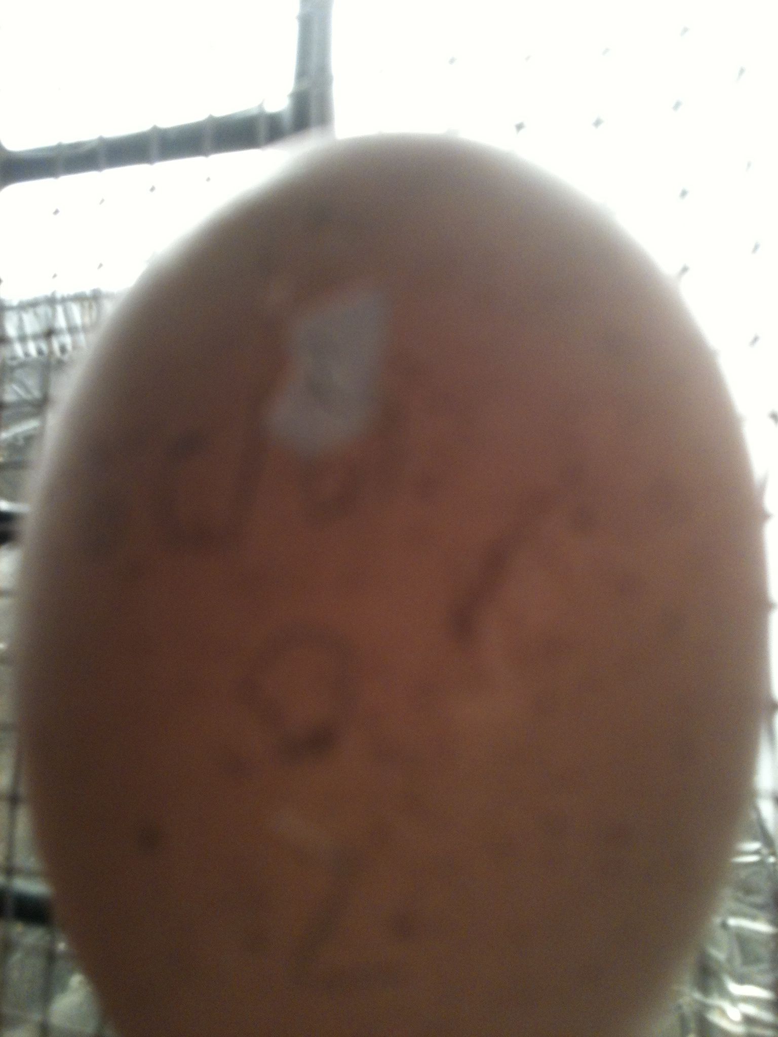 Egg's #2 starting to hatch