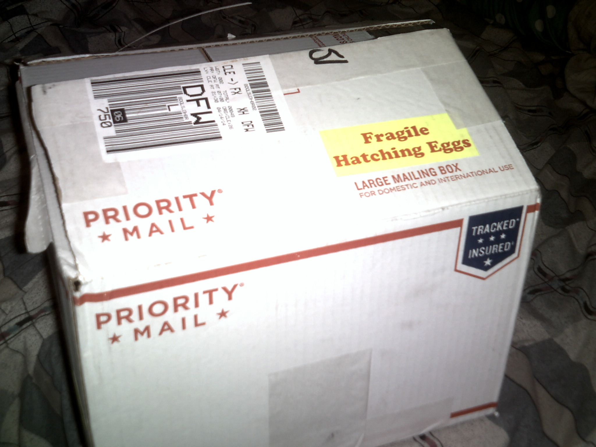 eggs arrive in mail Via very ****** off post-worker