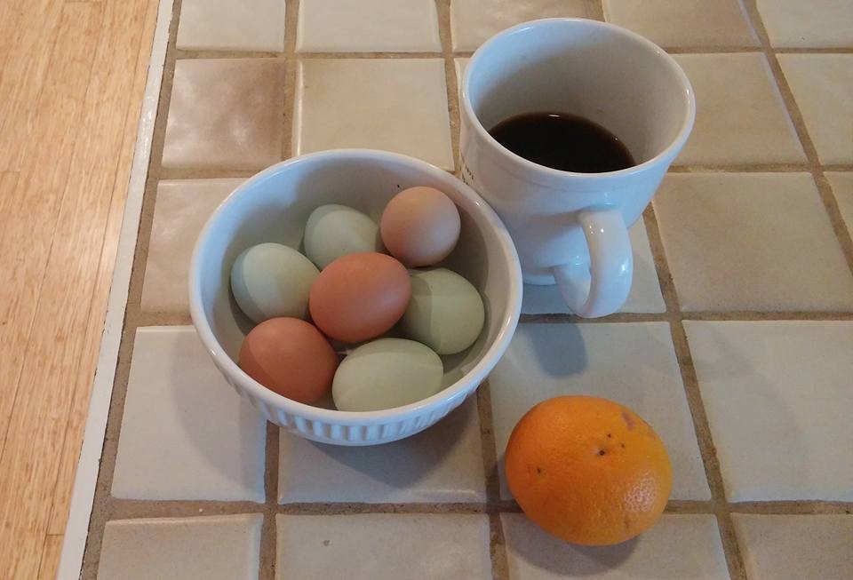 Eggs from the coop, orange from the tree, and no we did not grow the coffee beans!