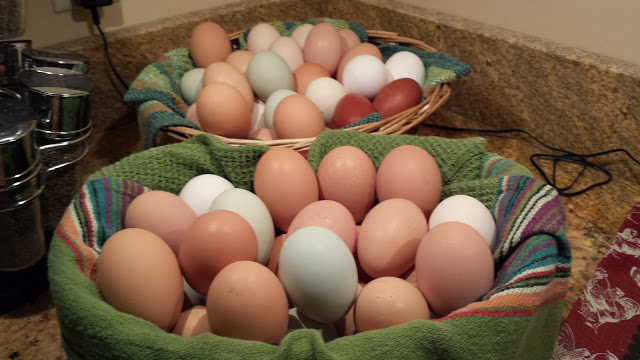 eggs galore