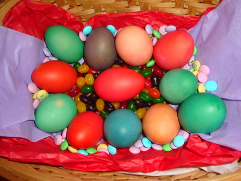 Eggs gone Easter!