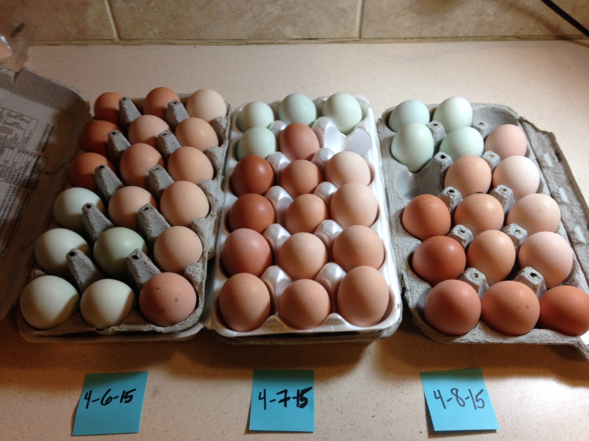 Eggs over three days