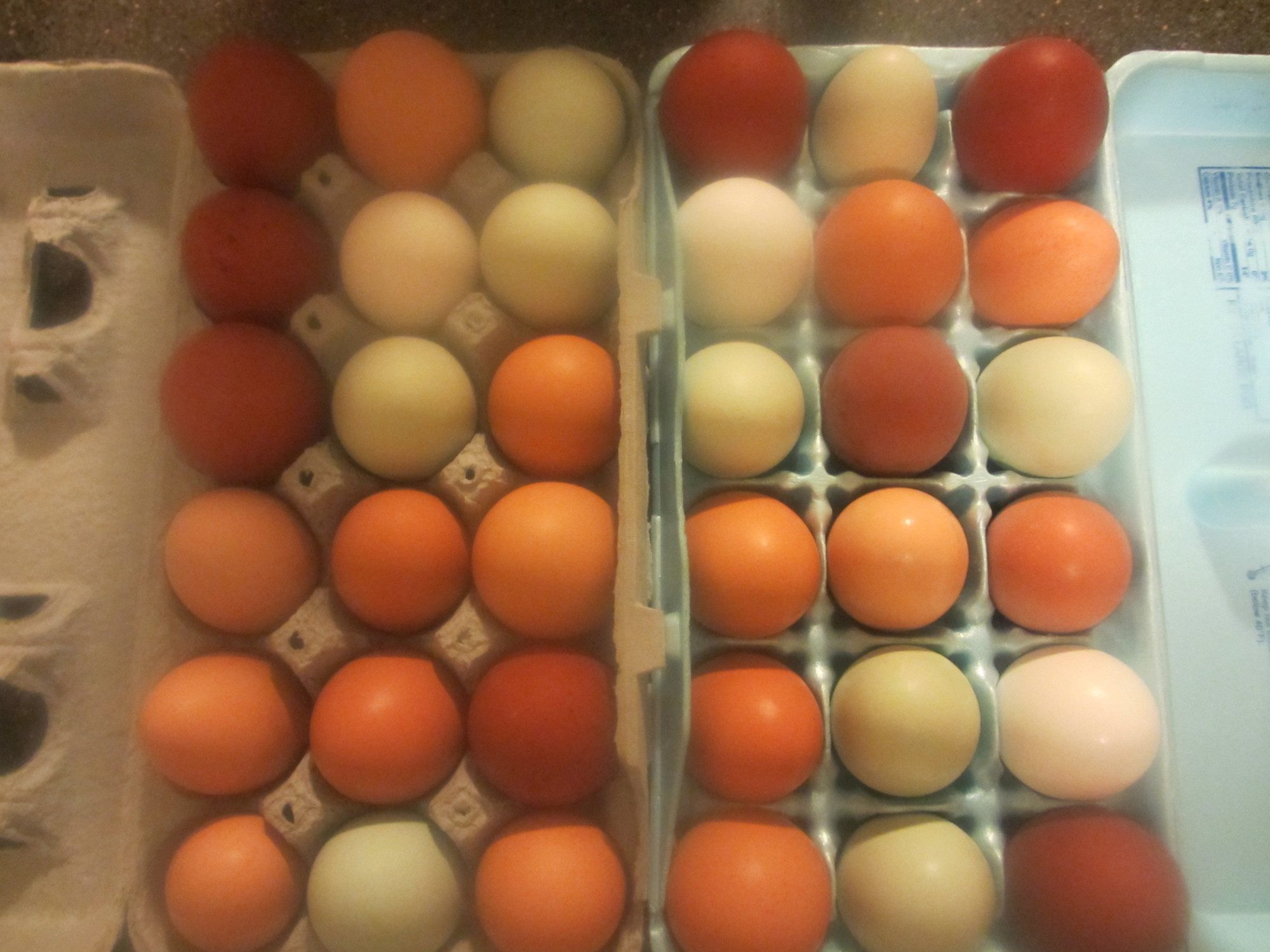 Eggs