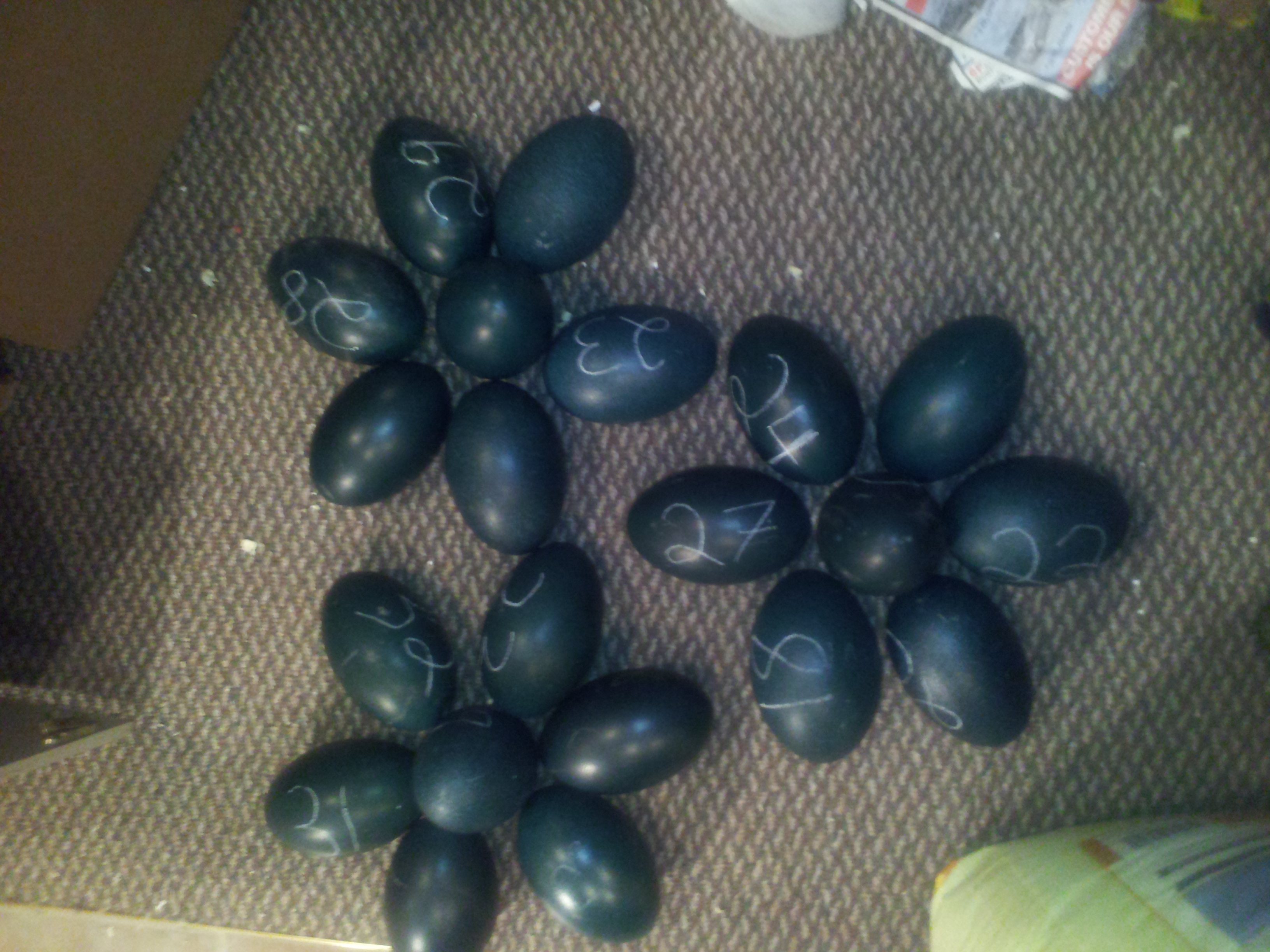 eggs