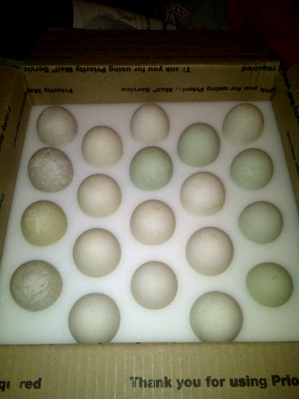Eggs?