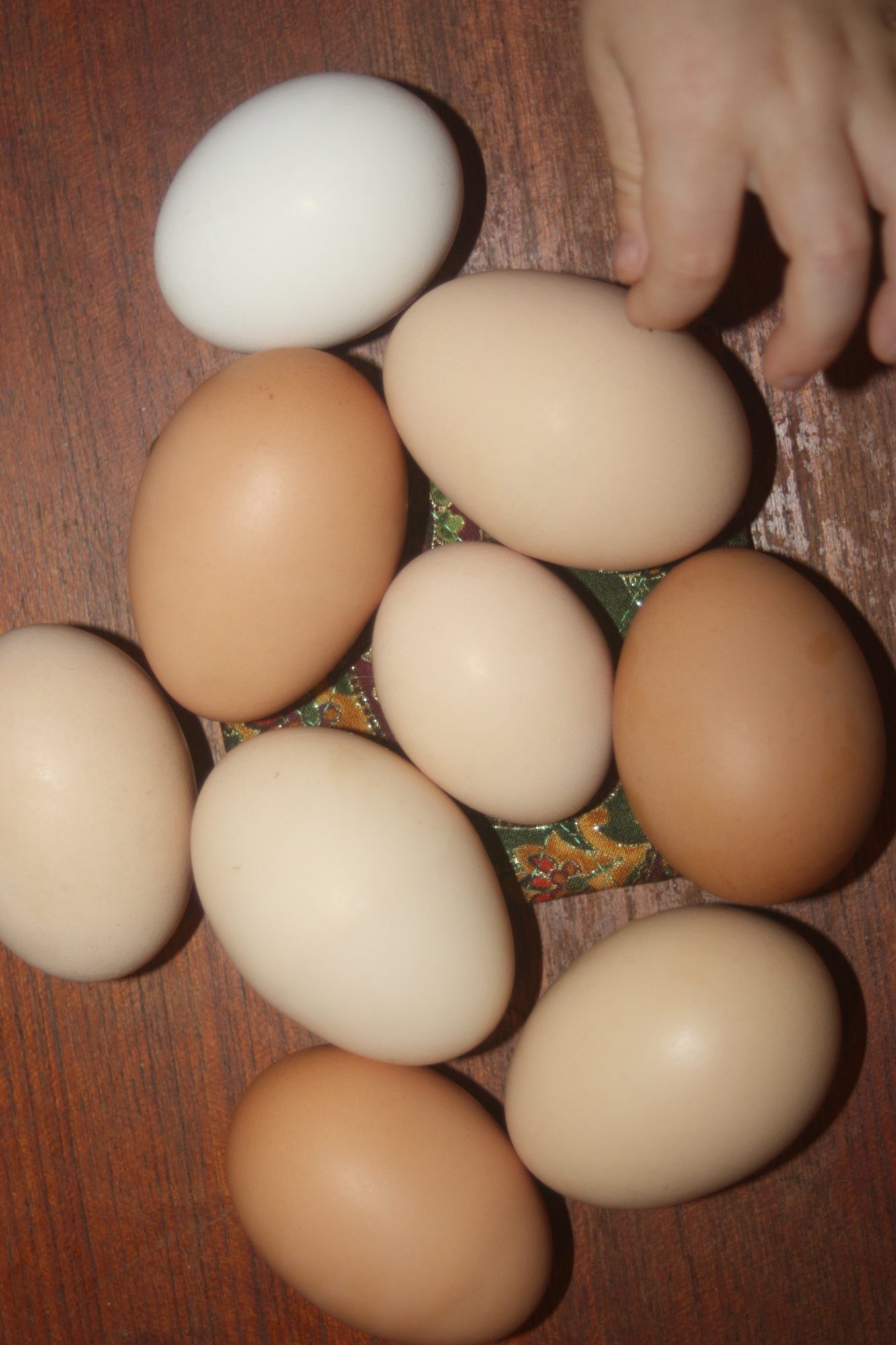 Eggs
