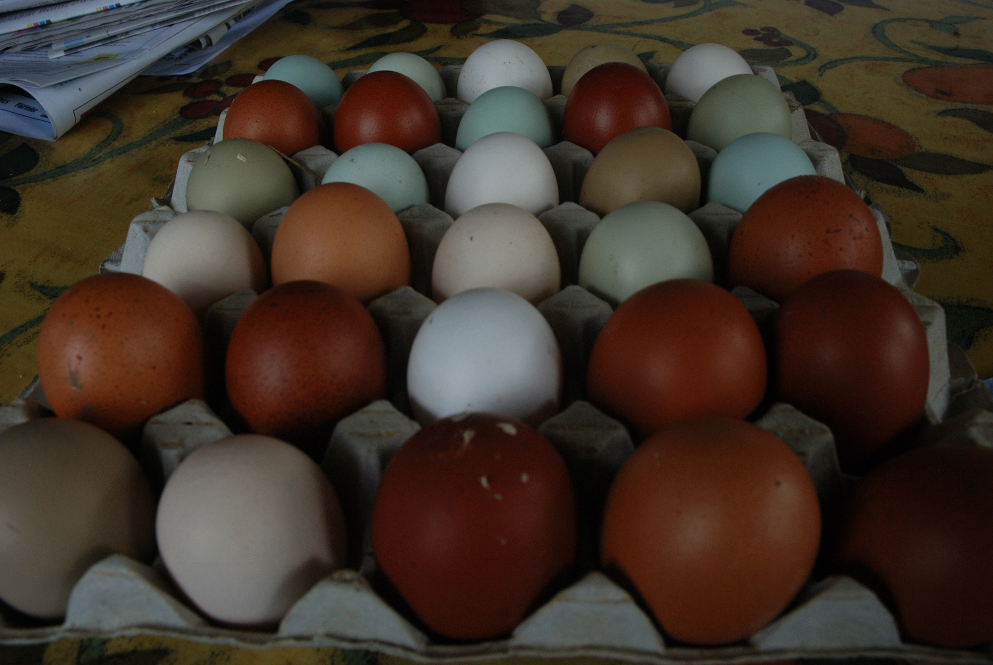 Eggs