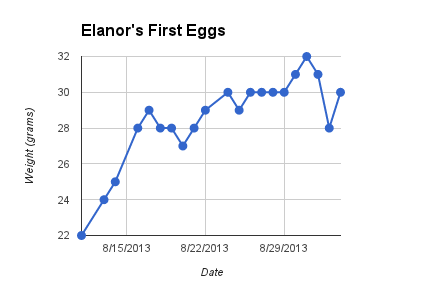 Elanor's first eggs.  Buff Brahma Bantam.  18 weeks old.