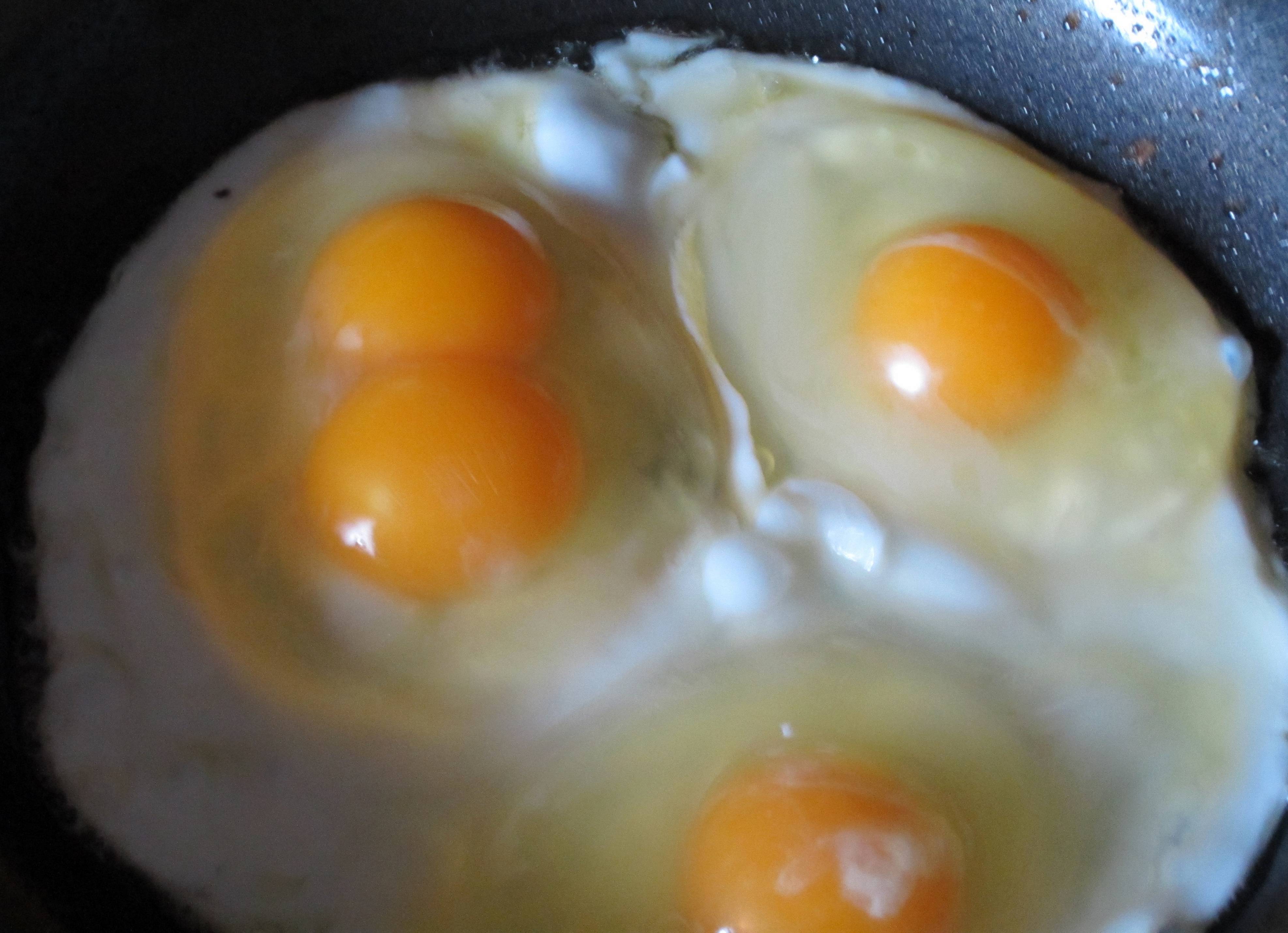 Eleanor's and Lucy's pullet eggs.  Eleanor did a double yolk!